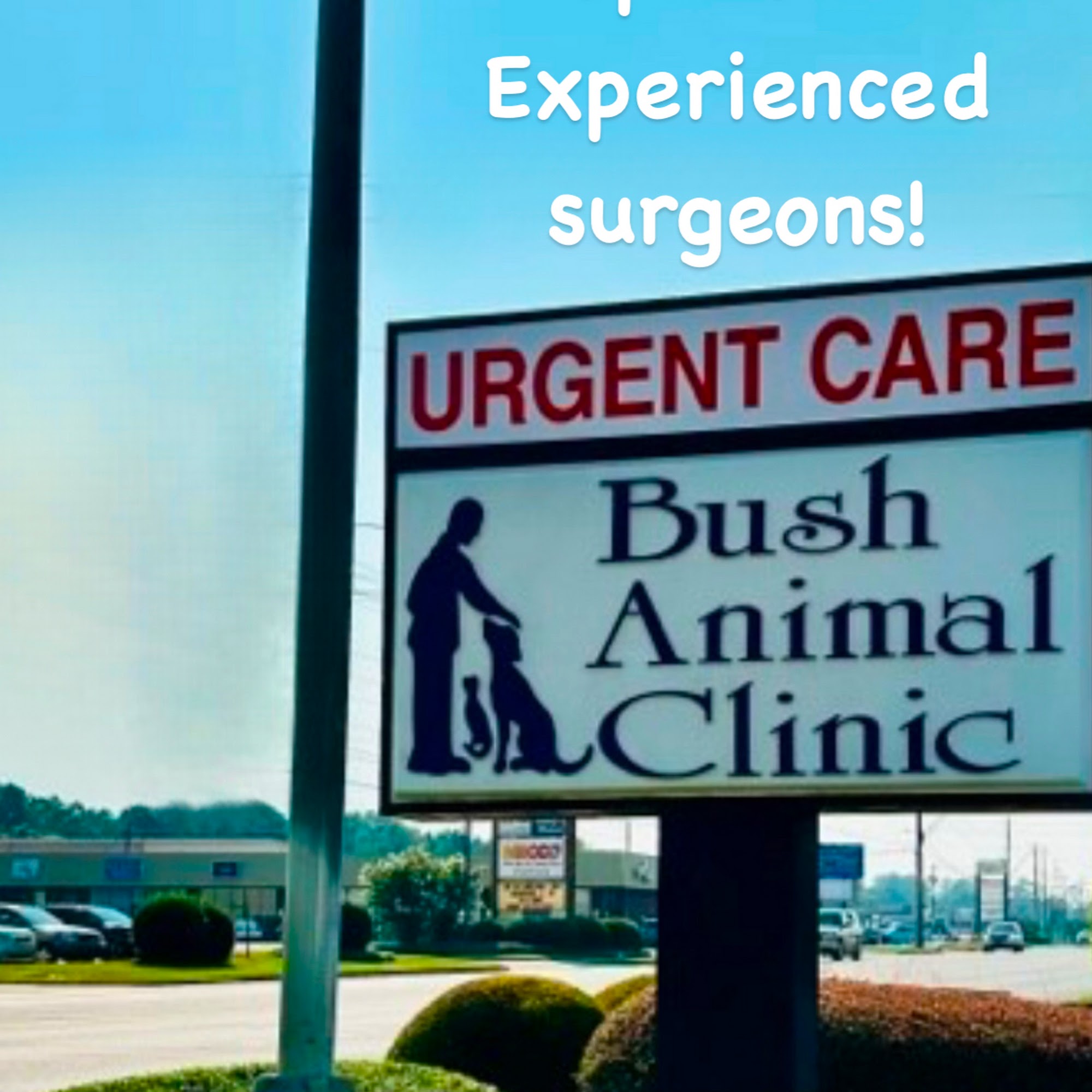 Bush Animal Clinic & Urgent Care Albany