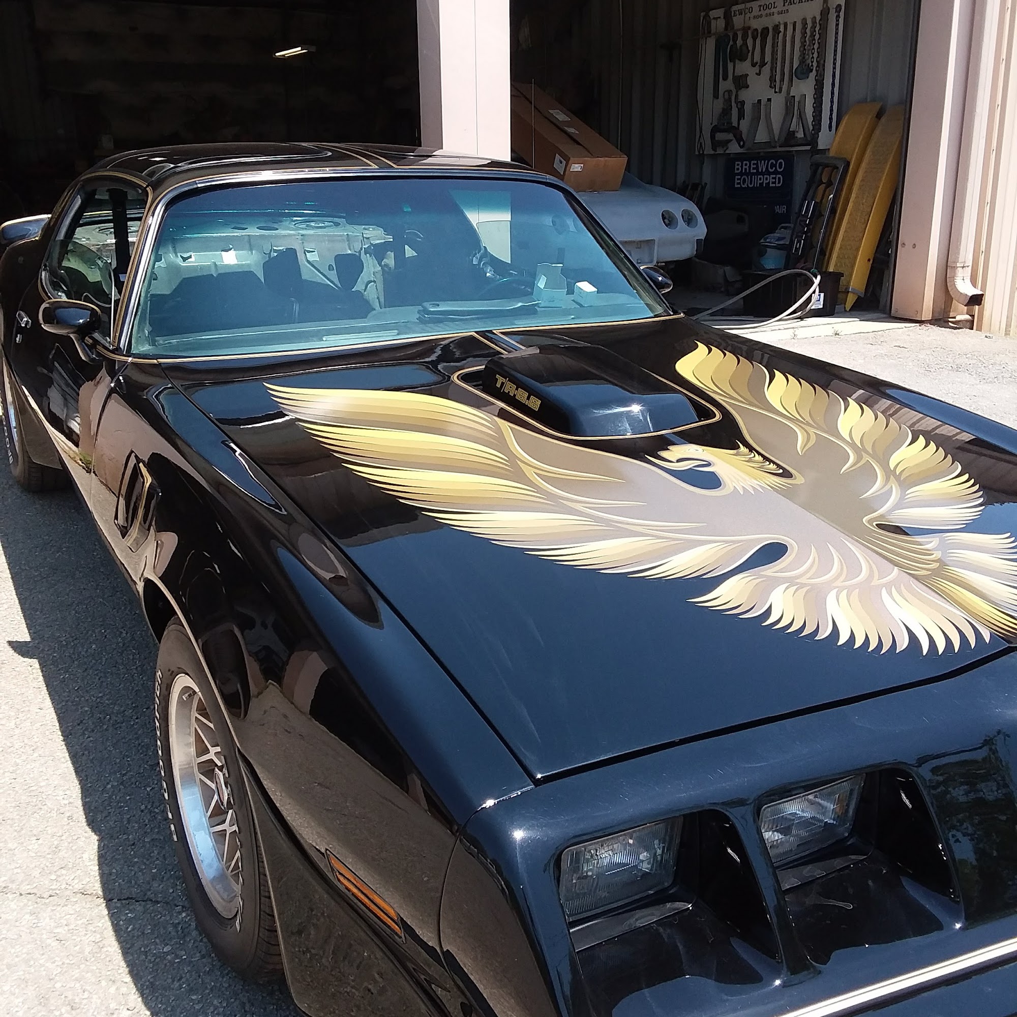 Dockery, Mobley, & Associates Animal Hospital Albany