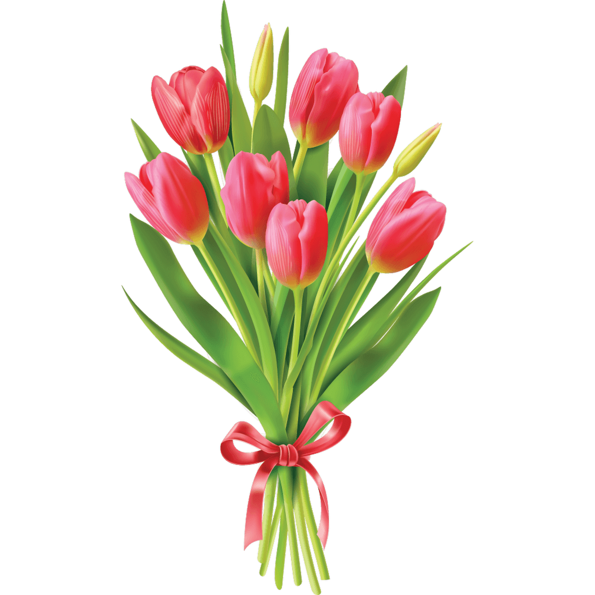 AJS Candles, Inc. Alma