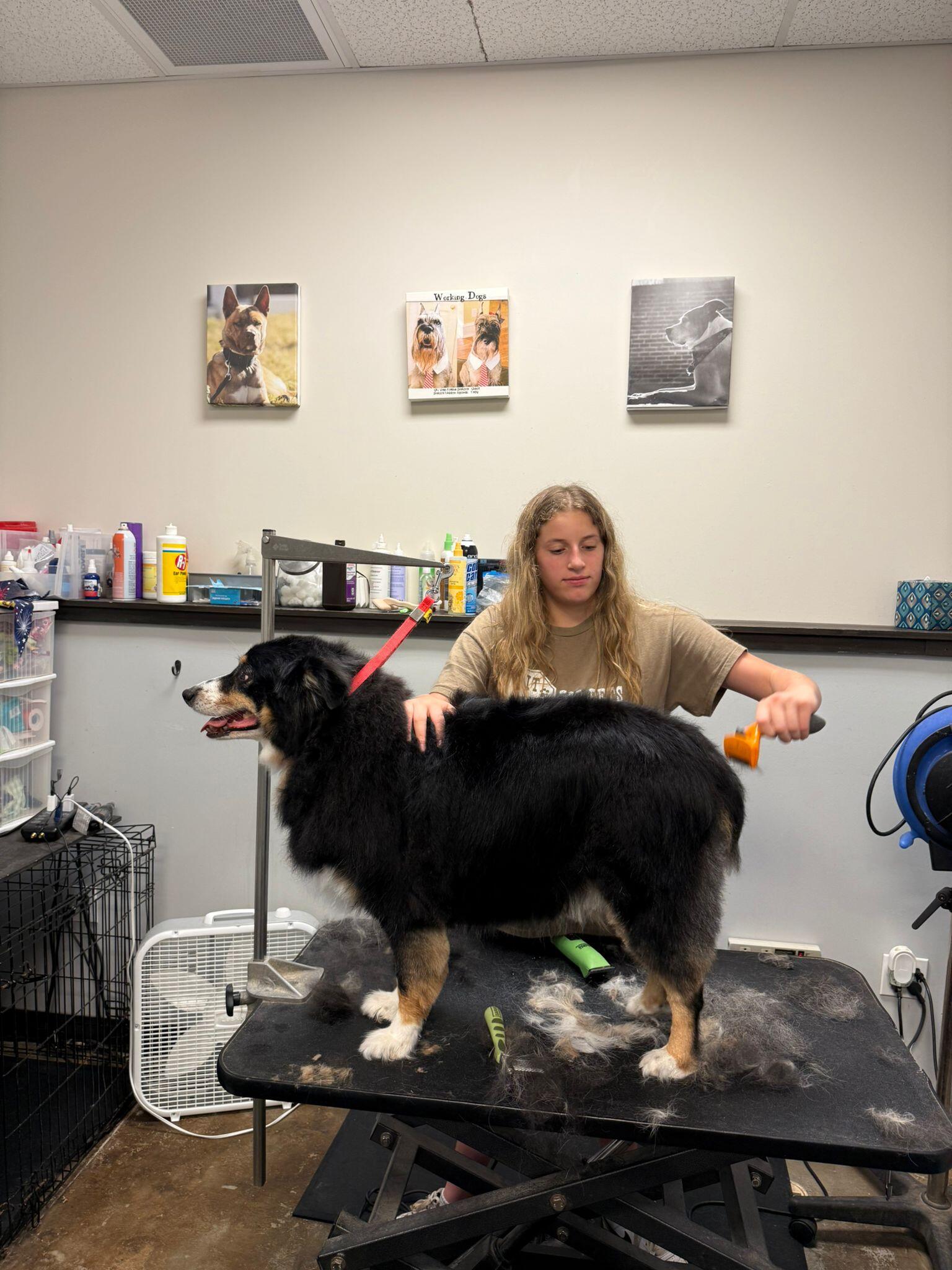 Pit Stop for Pets Alpharetta