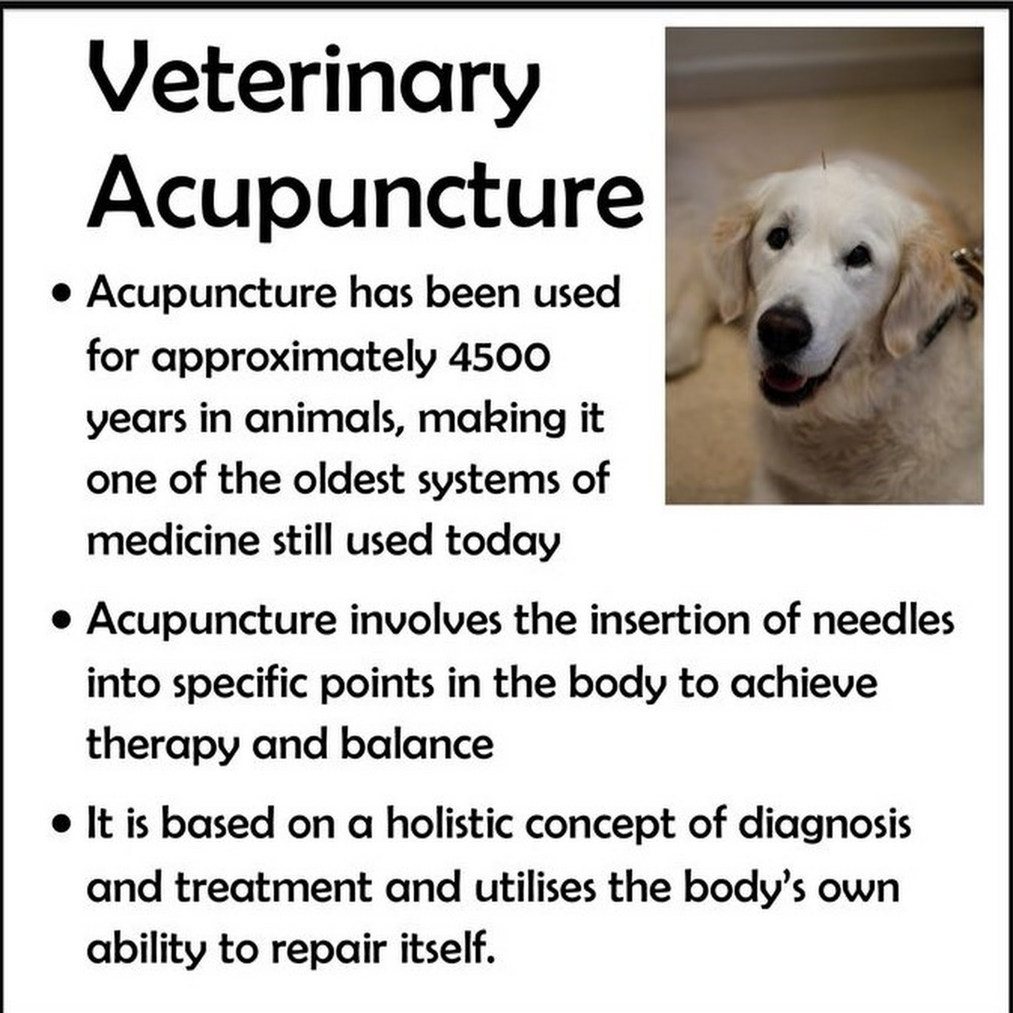 Crabapple Knoll Veterinary Clinic Alpharetta