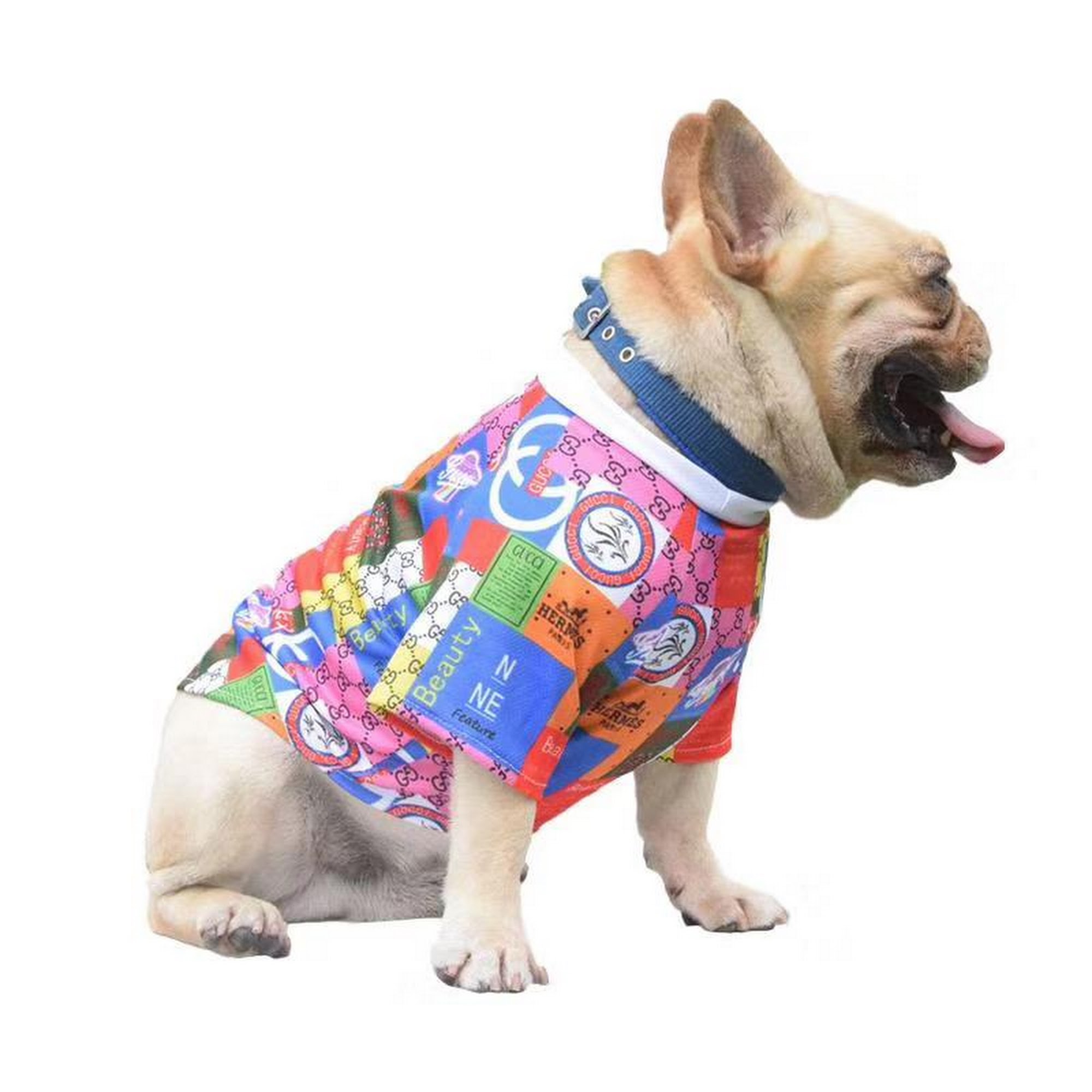 Unexpected Pooch Alpharetta