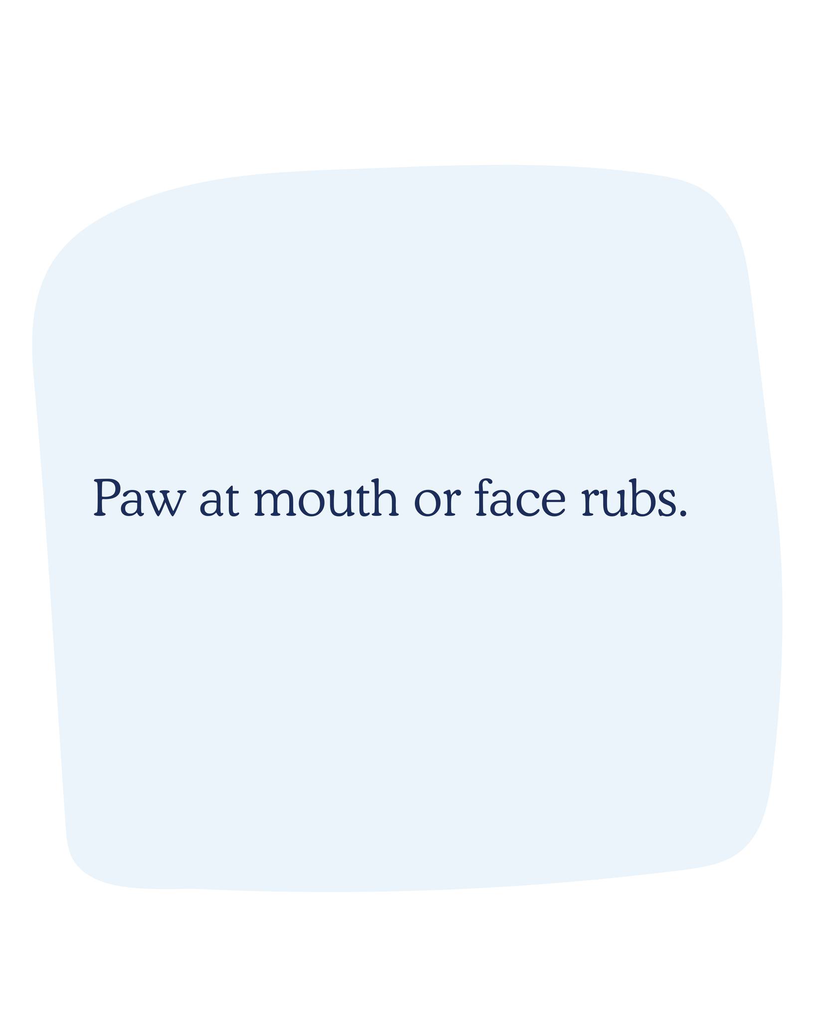 Scenthound Alpharetta Central Alpharetta