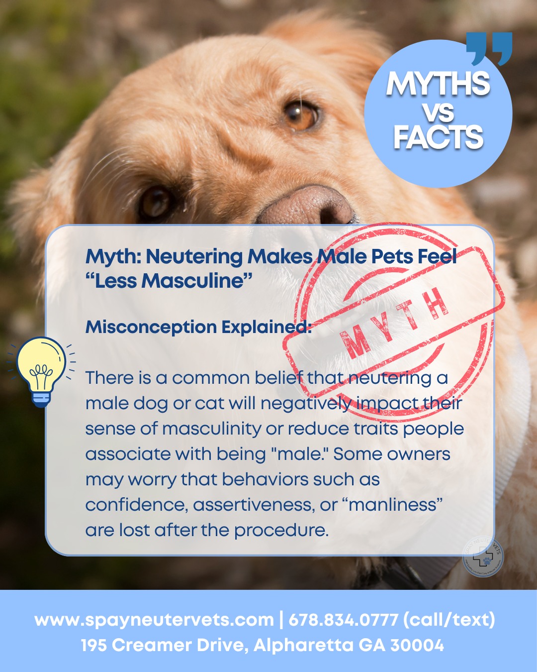 Spay Neuter Vets Alpharetta