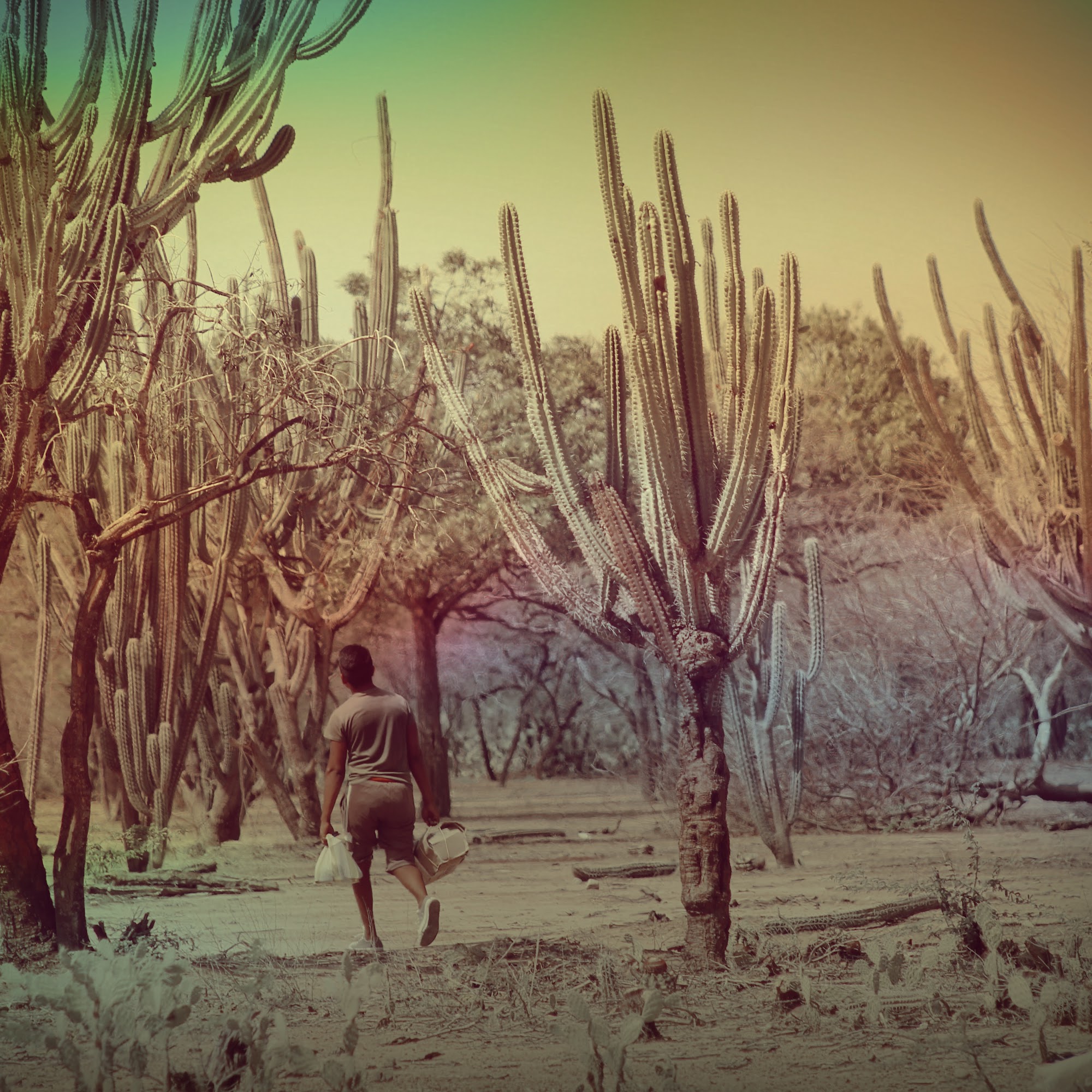 Bread of Hope Alpharetta