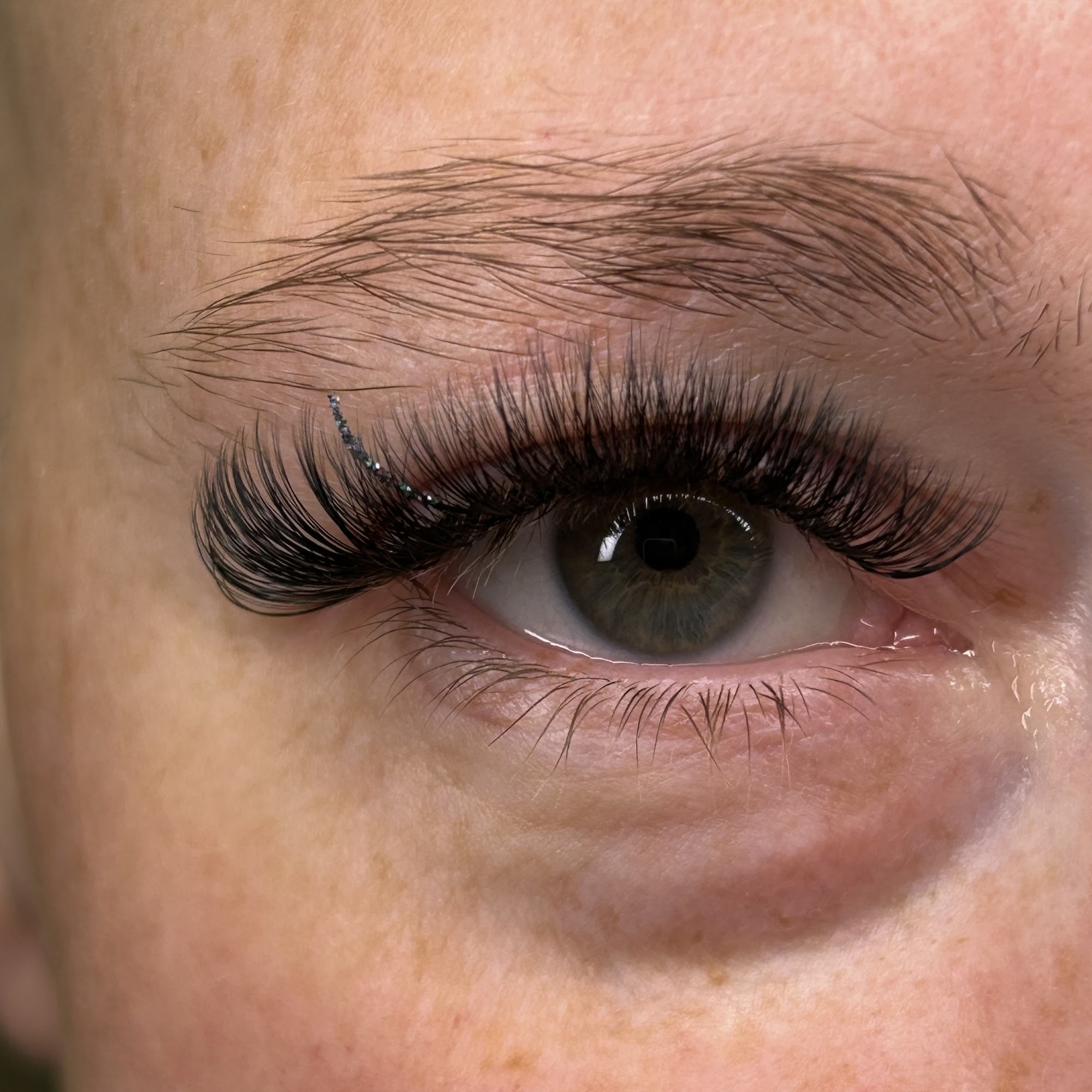 Cosmic Beauty 278 Anderson Cir, Alto Georgia 30510