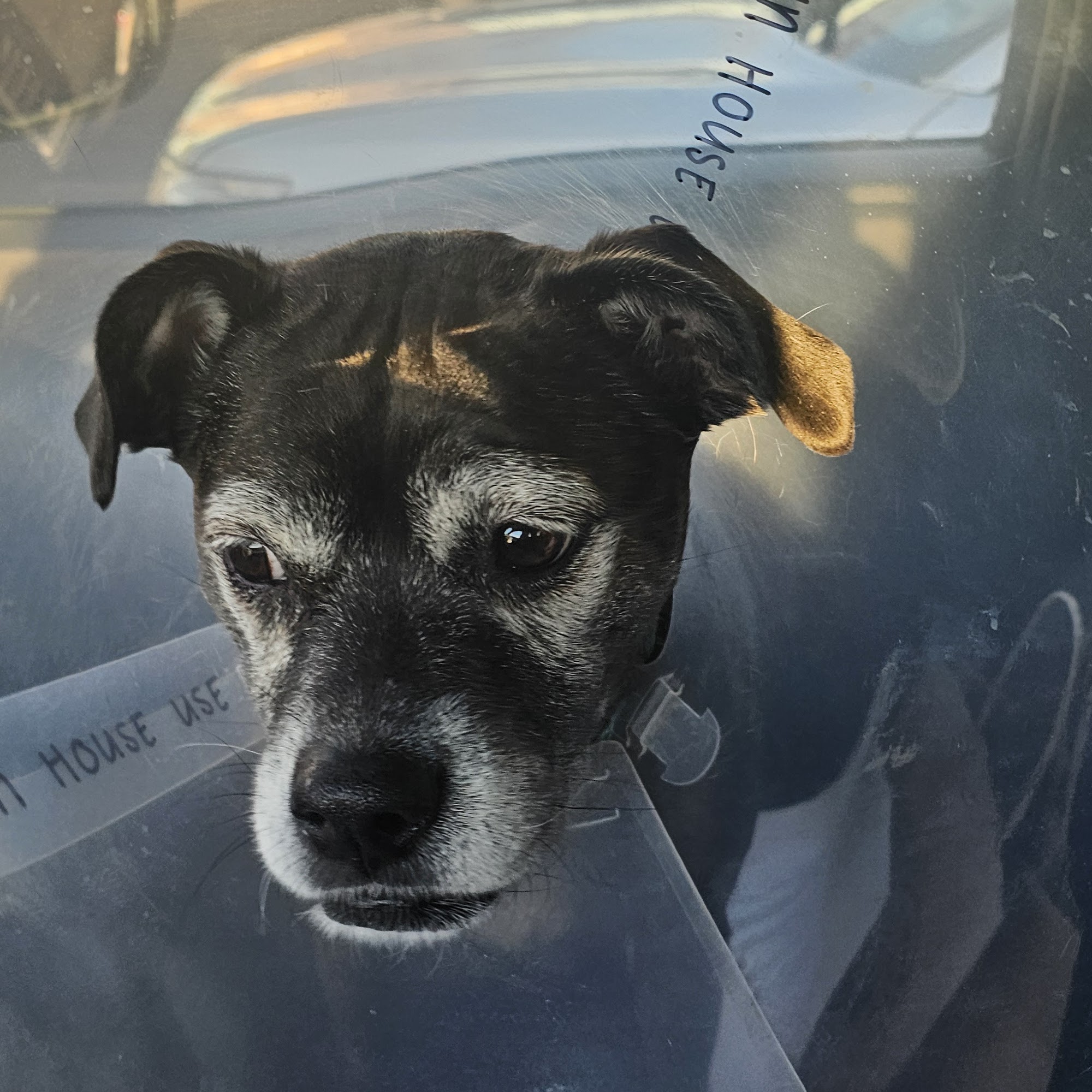 Hawthorne Animal Hospital Athens