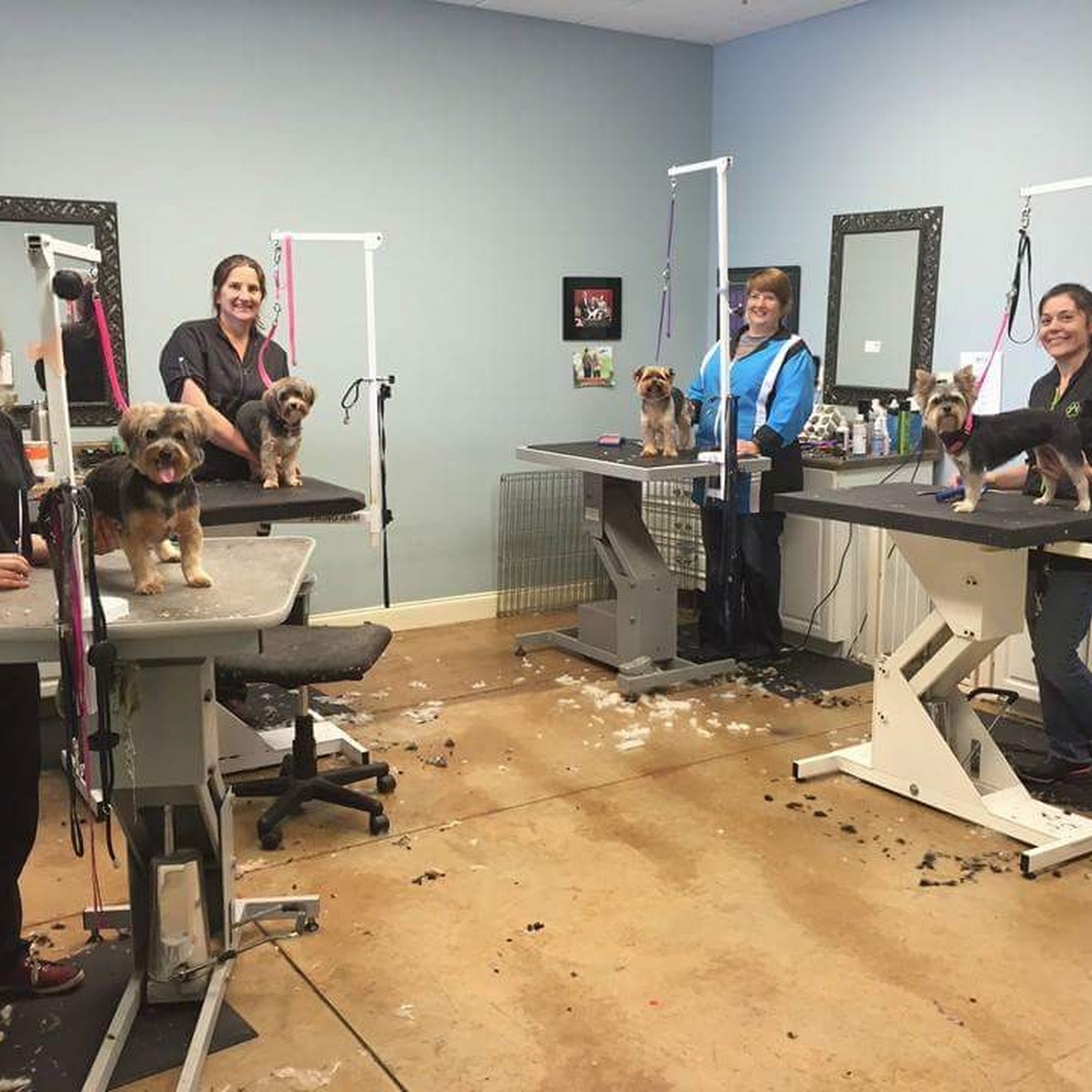 Bark Dog Spa & Boutique Athens