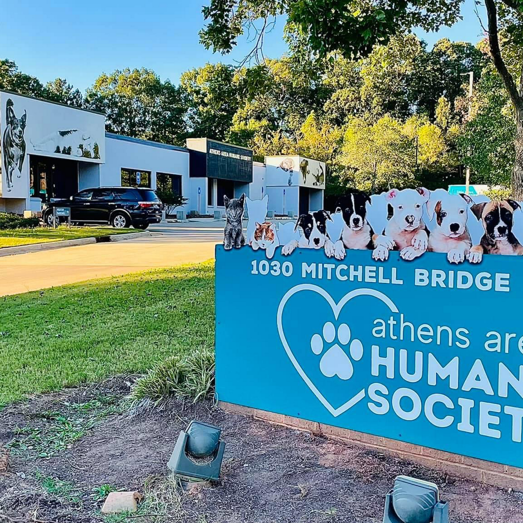 Athens Area Humane Society Athens