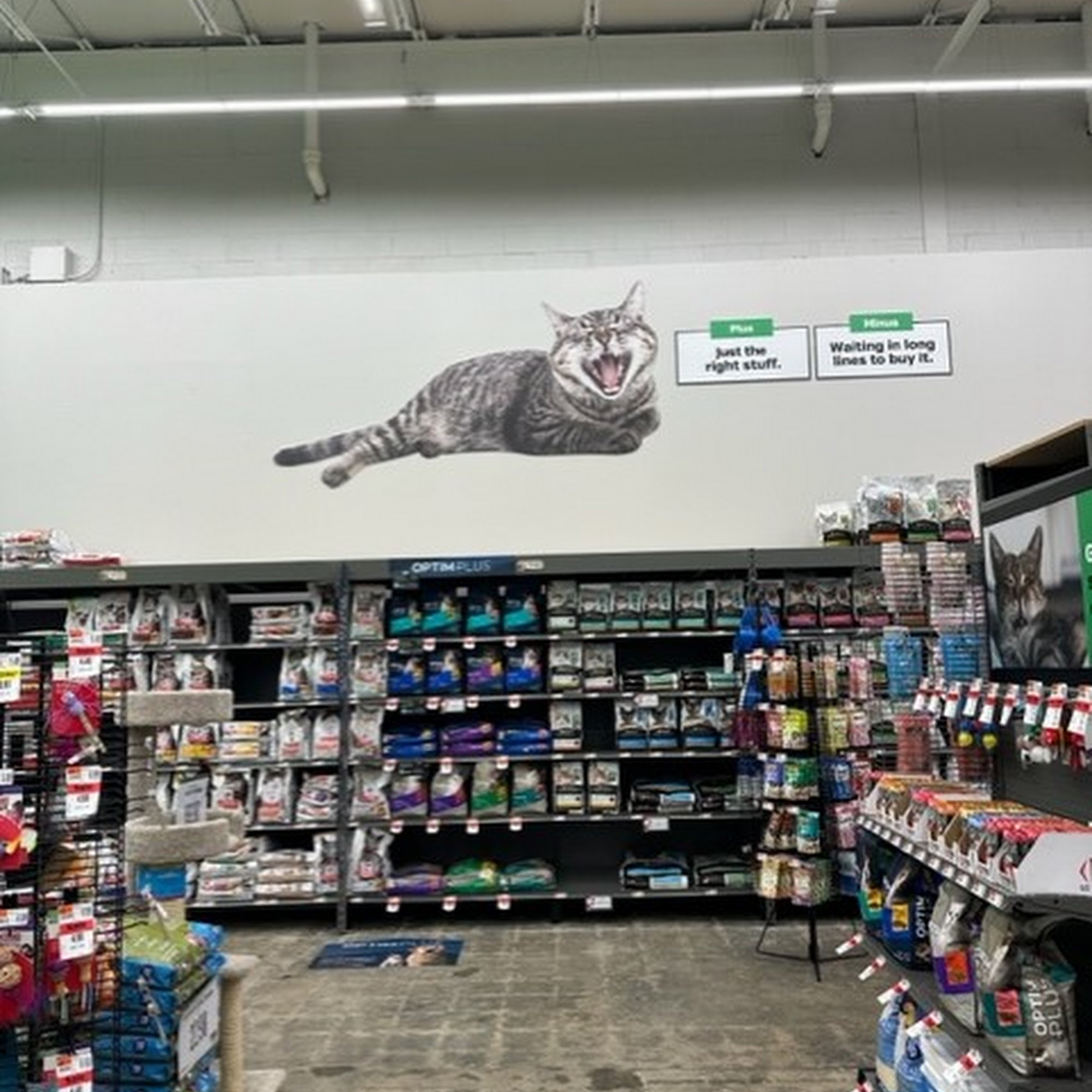 Pet Supplies Plus Athens Athens