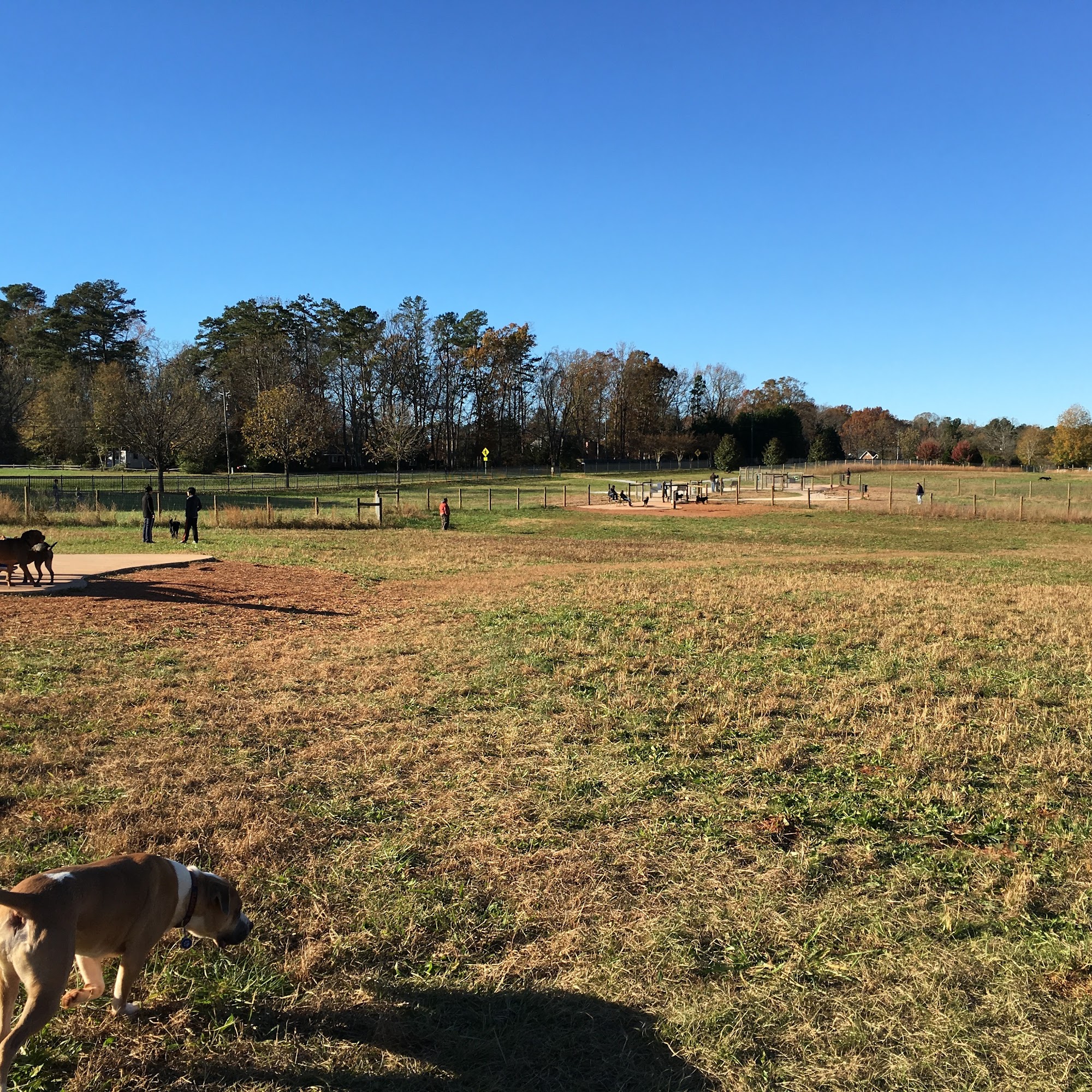 Wiggley Field Athens