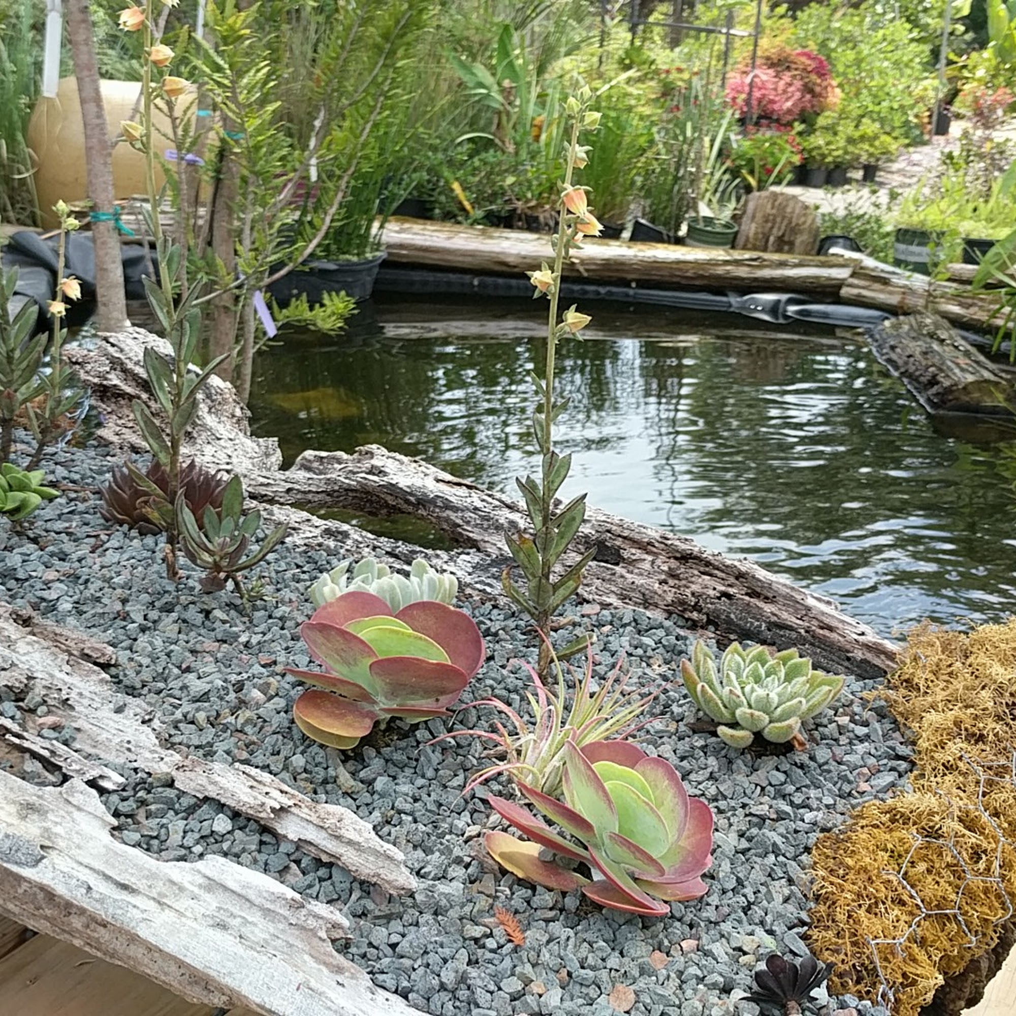 Gardens South Landscape & Design
