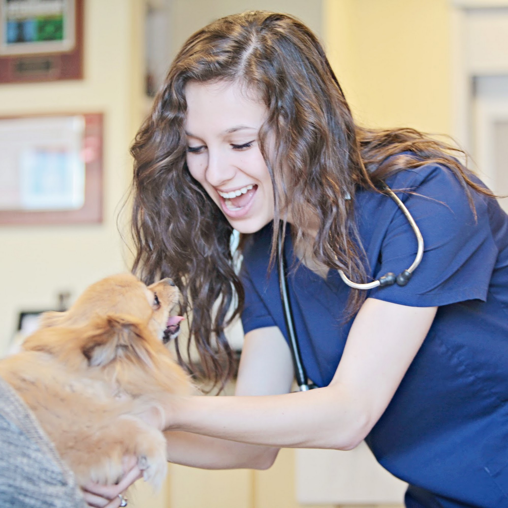 Peachtree Hills Animal Hospital Atlanta