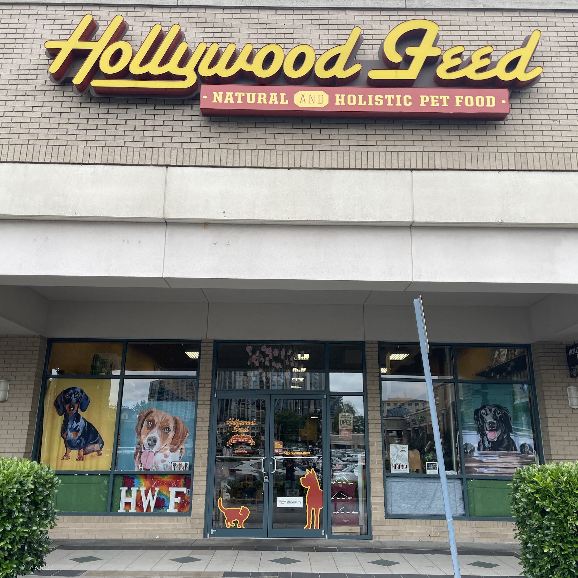 Hollywood Feed Atlanta