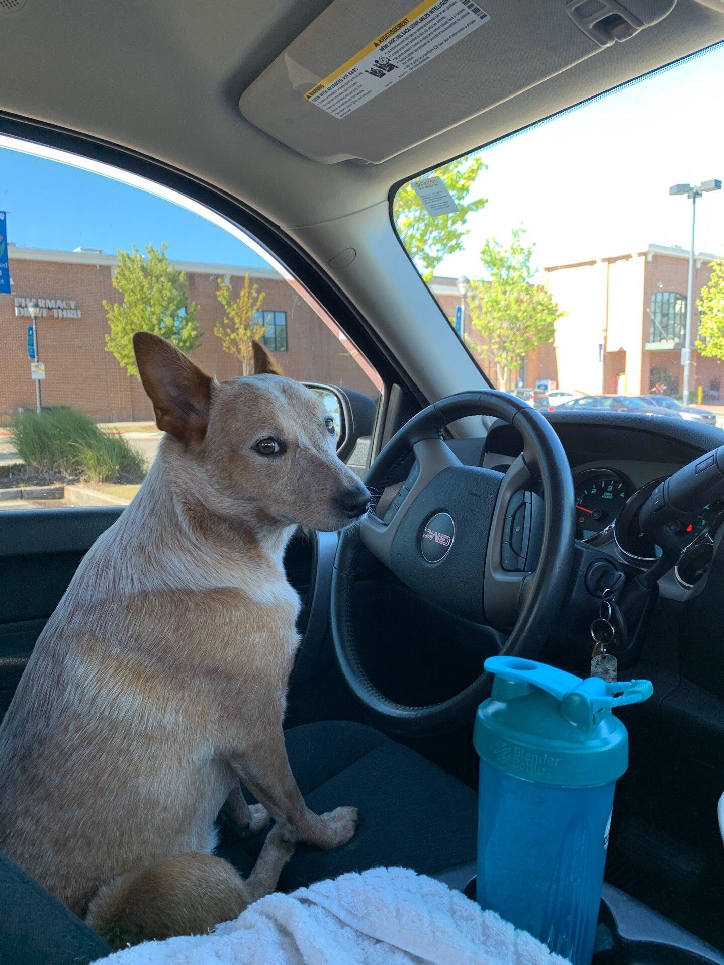 Photo credit: nextdoor