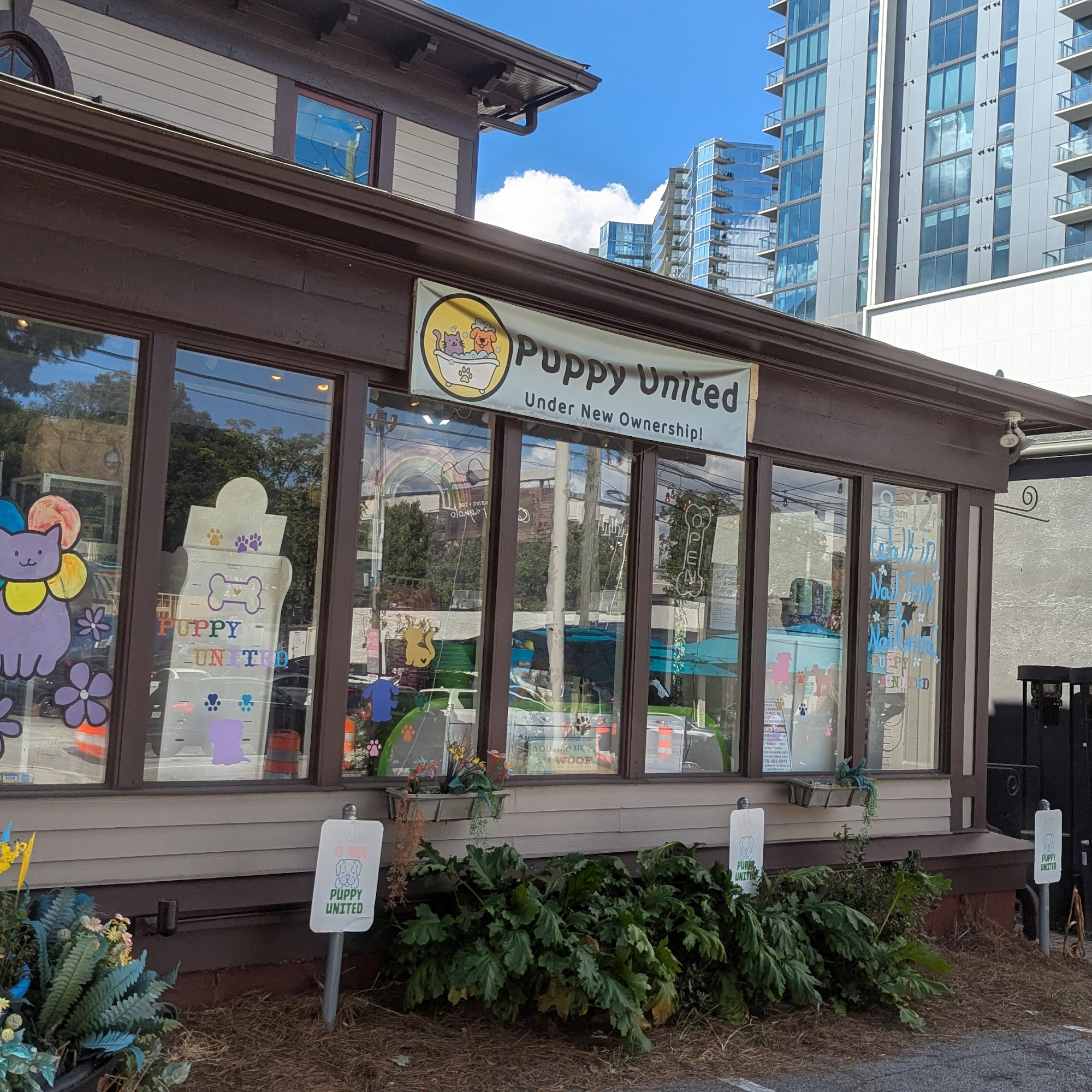 Puppy United Atlanta