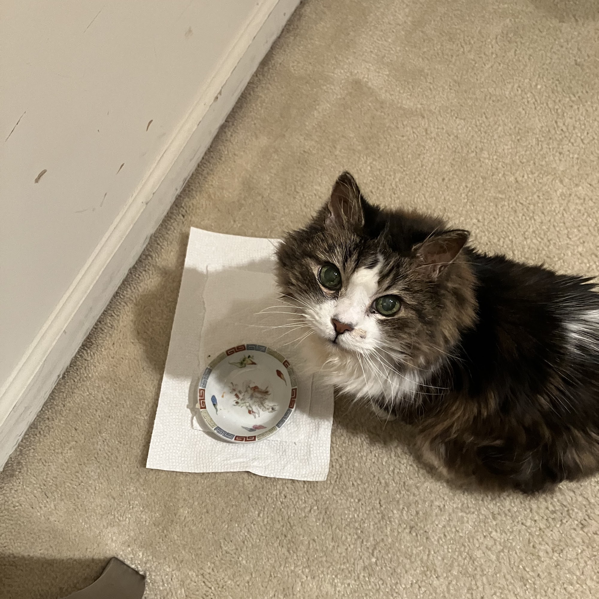 The Village Vets Westside Atlanta