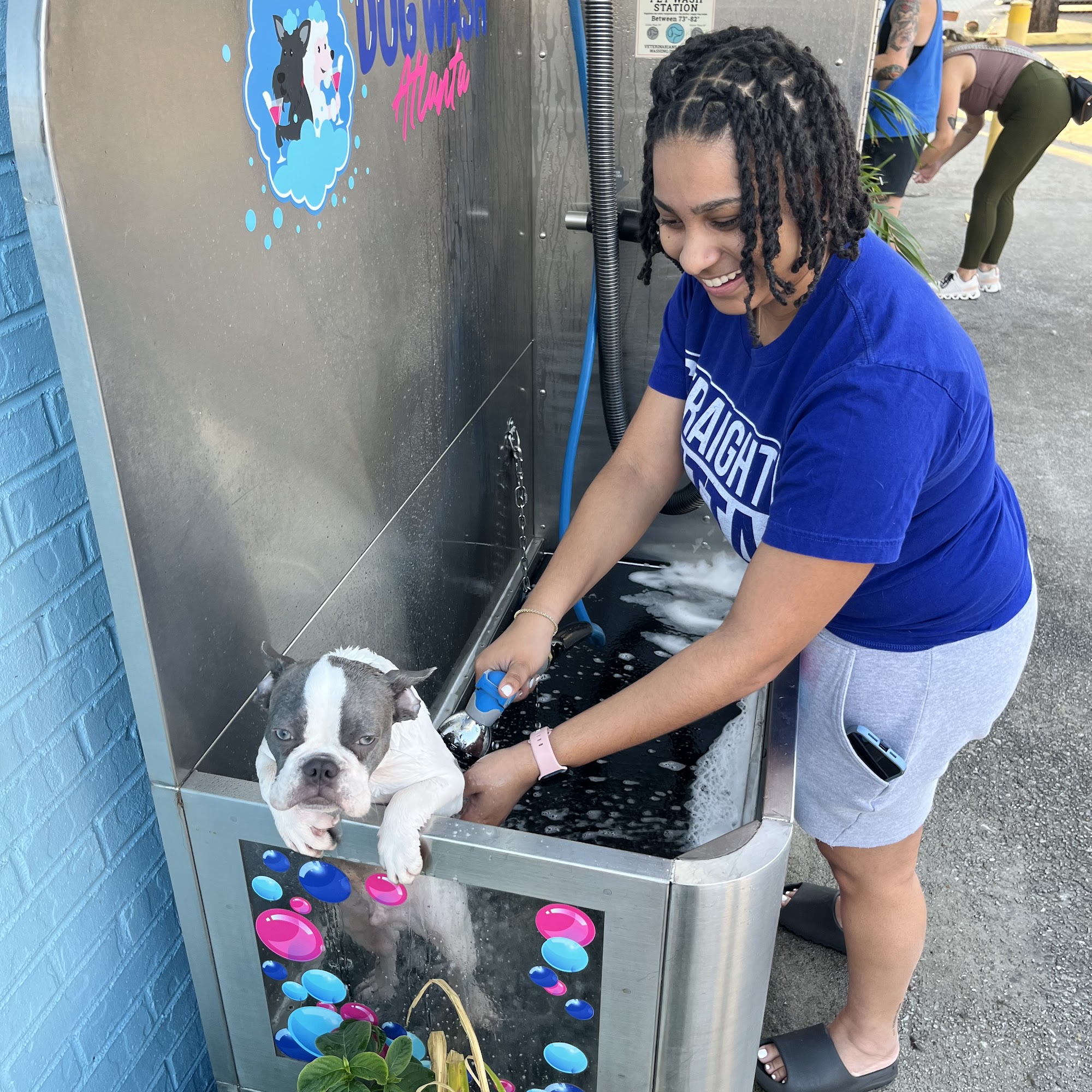 Dog Wash Atlanta