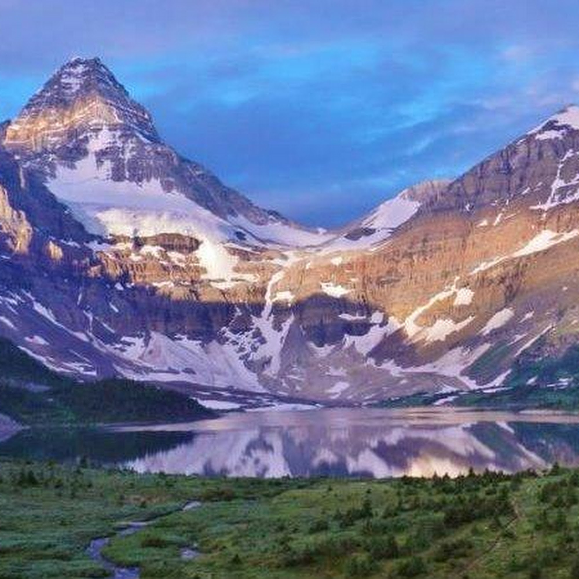 William Mount, Atlanta Athletic Massage 455 Glen Iris Dr NE UNIT E, Atlanta Georgia 30308