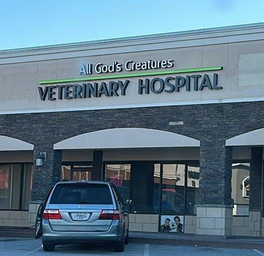 All God's Creatures Veterinary Hospital Augusta