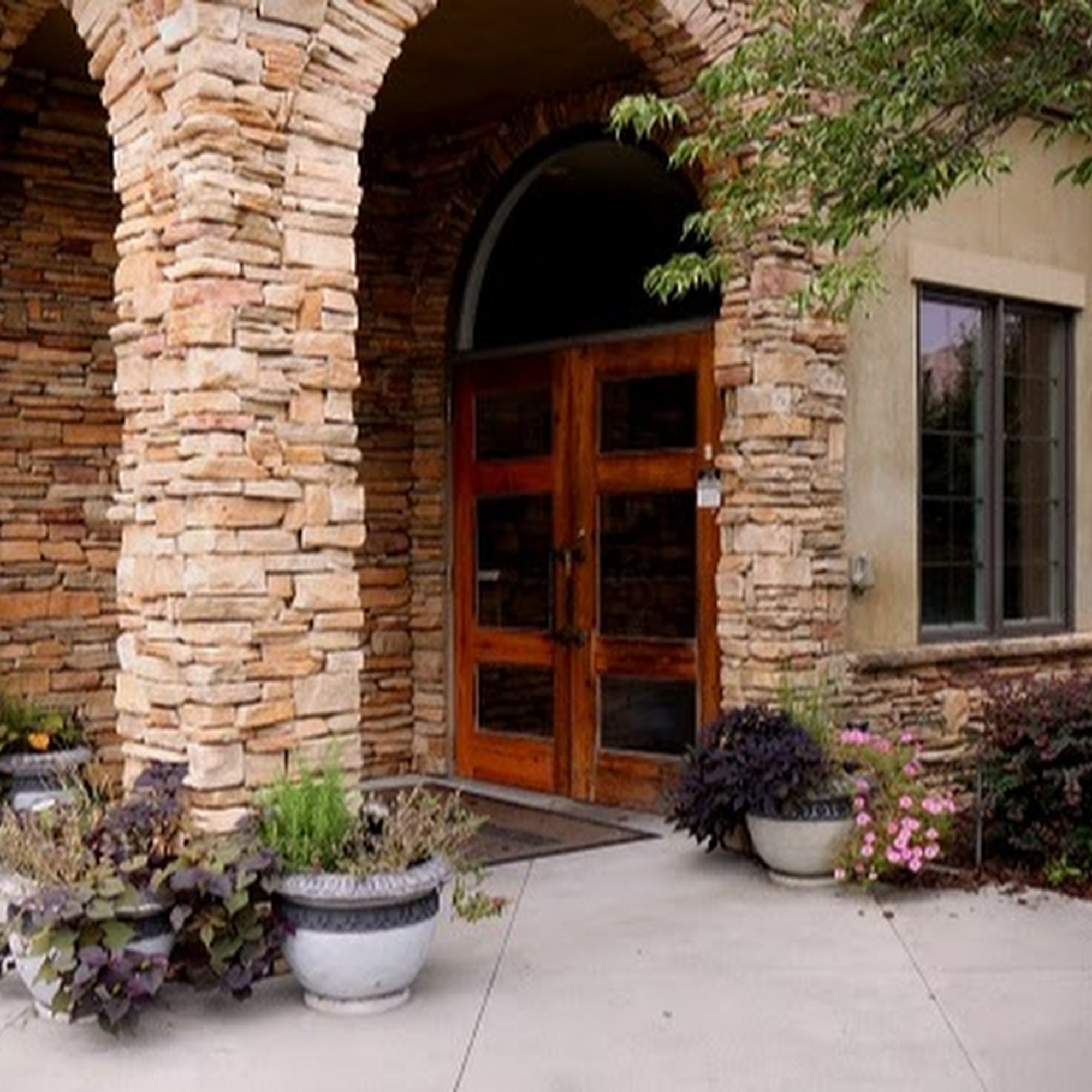 St Francis Animal Hospital Augusta