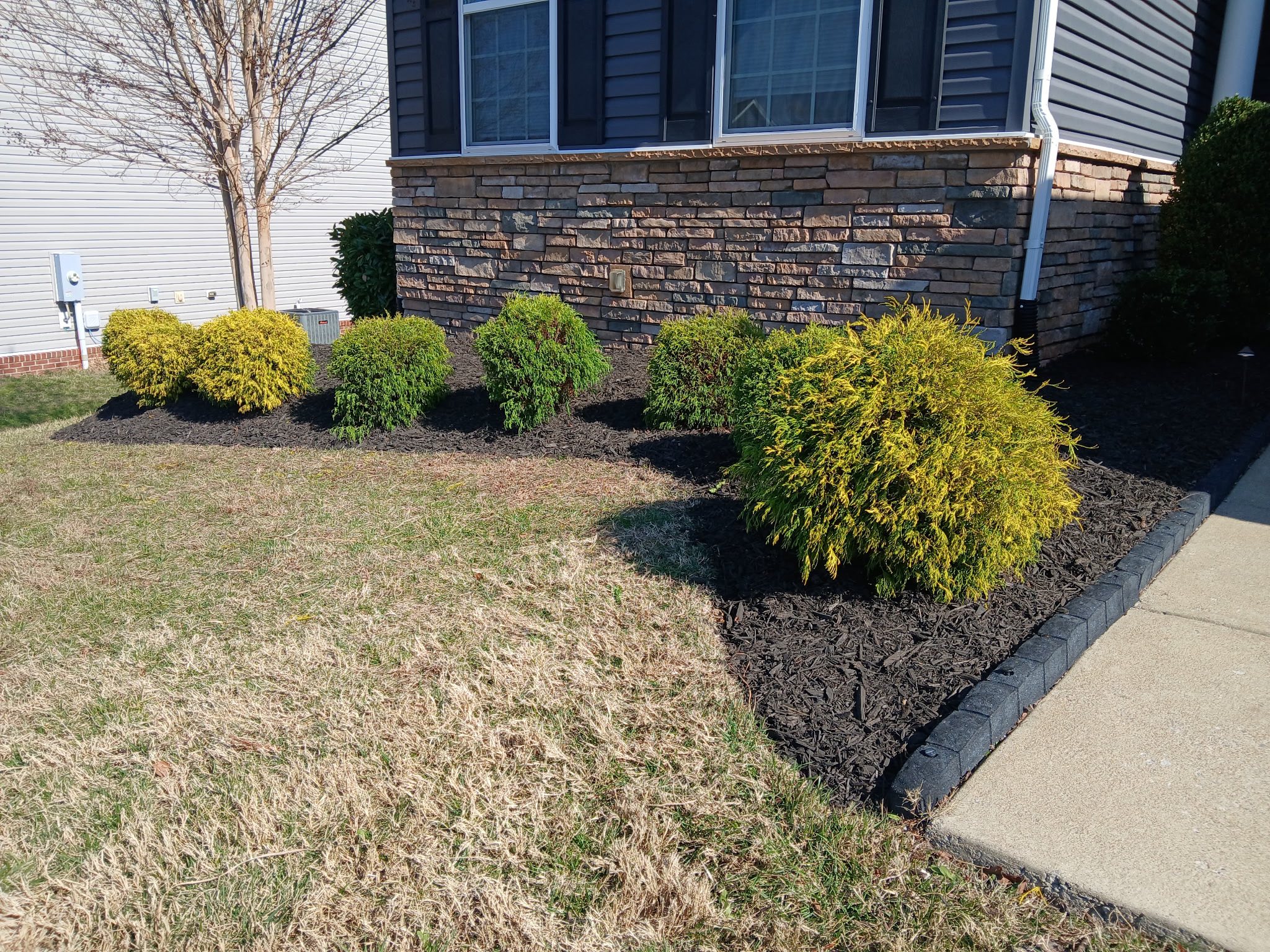 Semper Fi Lawn Services