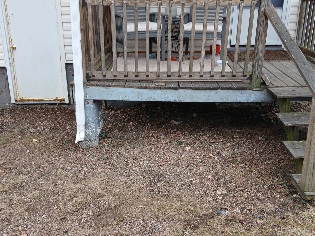 Semper Fi Lawn Services