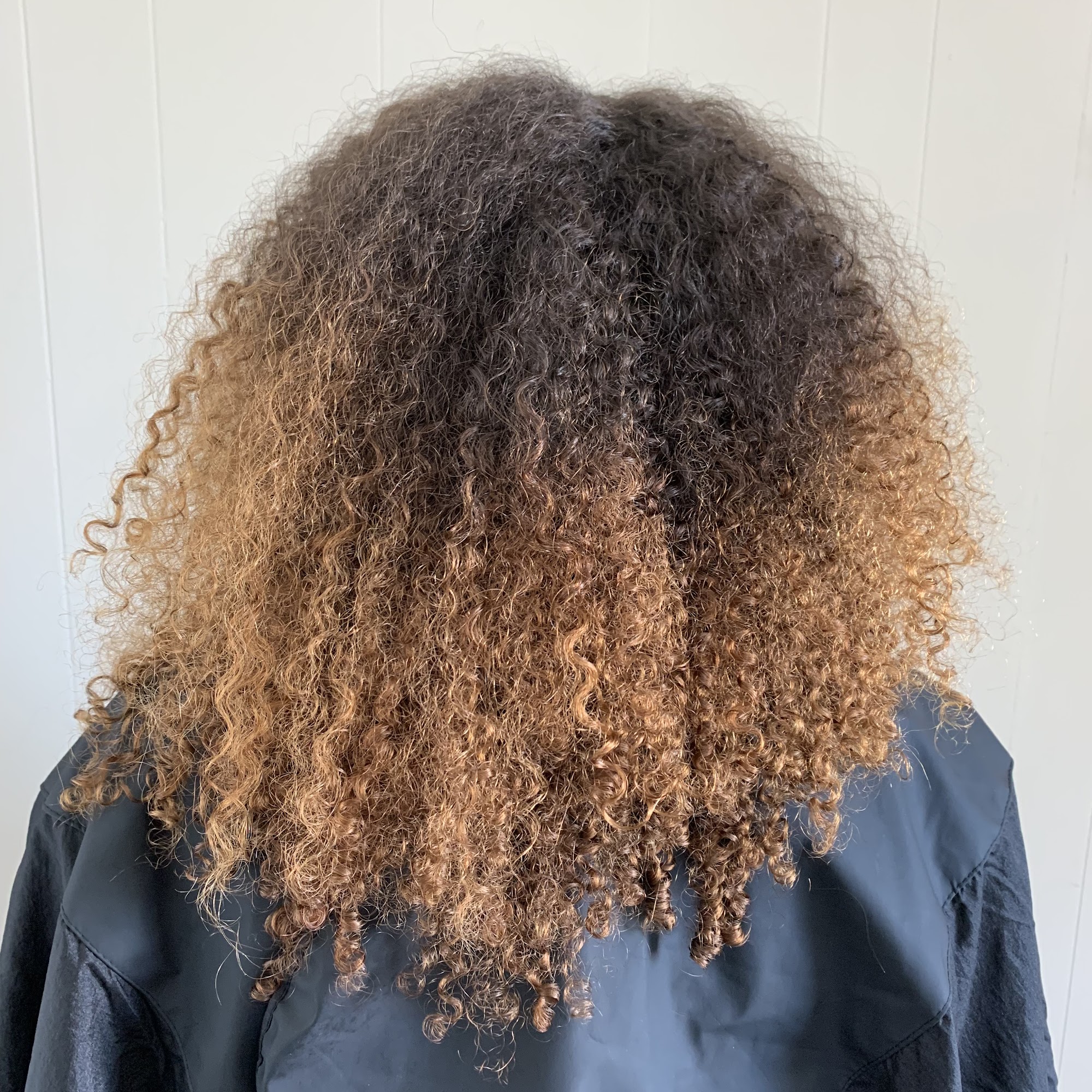 Millie Lugo-The Curl Whisperer Studio