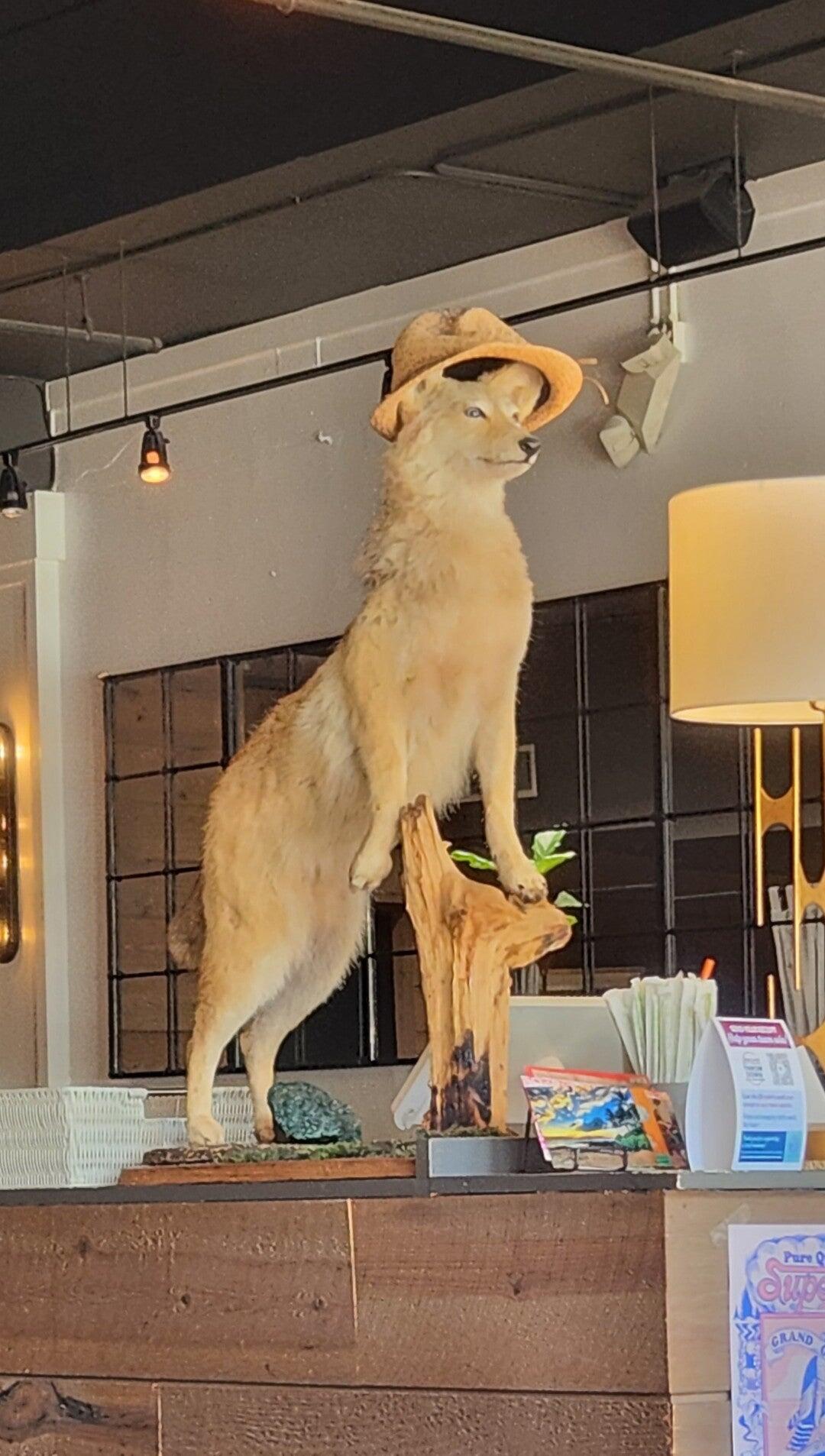 Photo credit: nextdoor