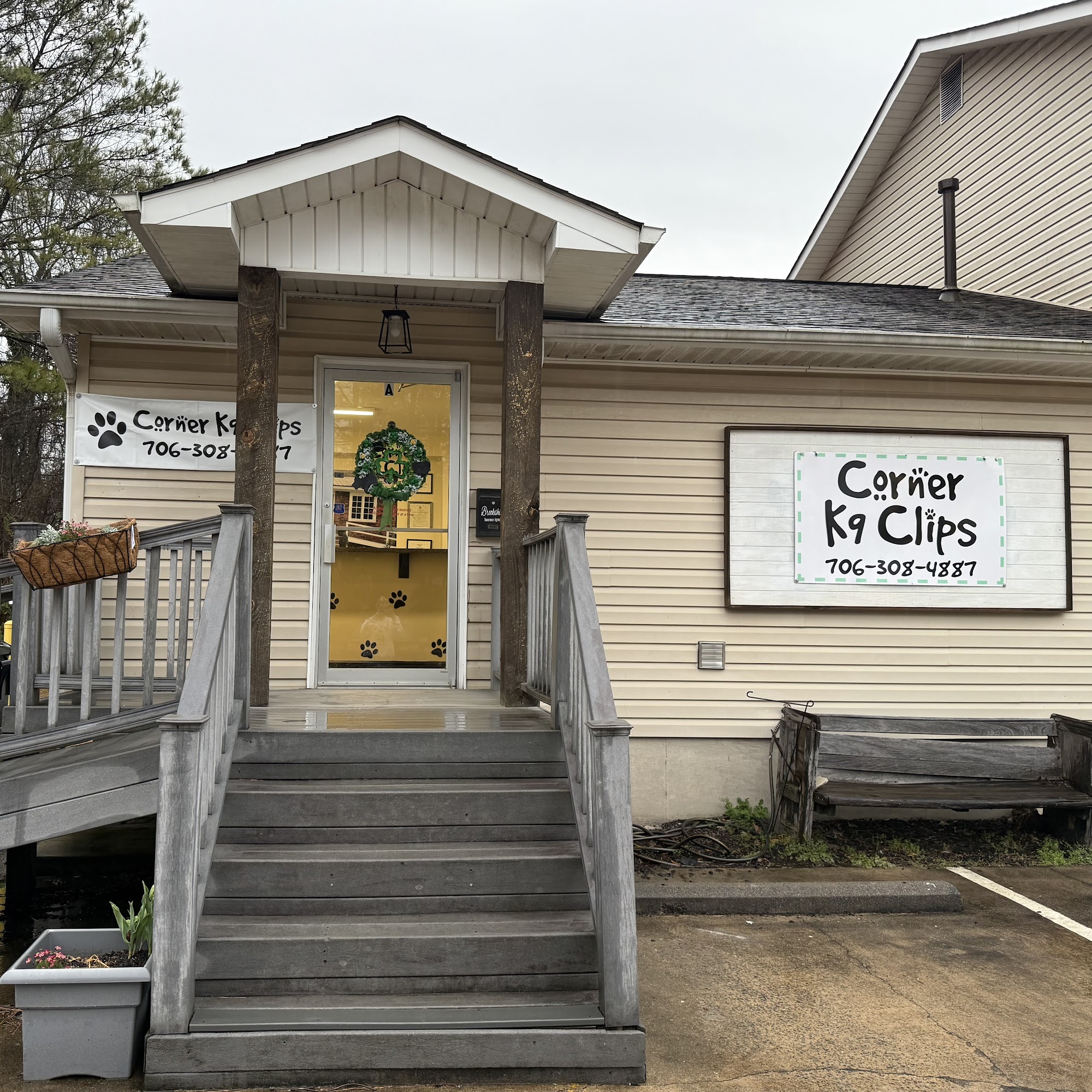 Corner K9 Clips Ball Ground