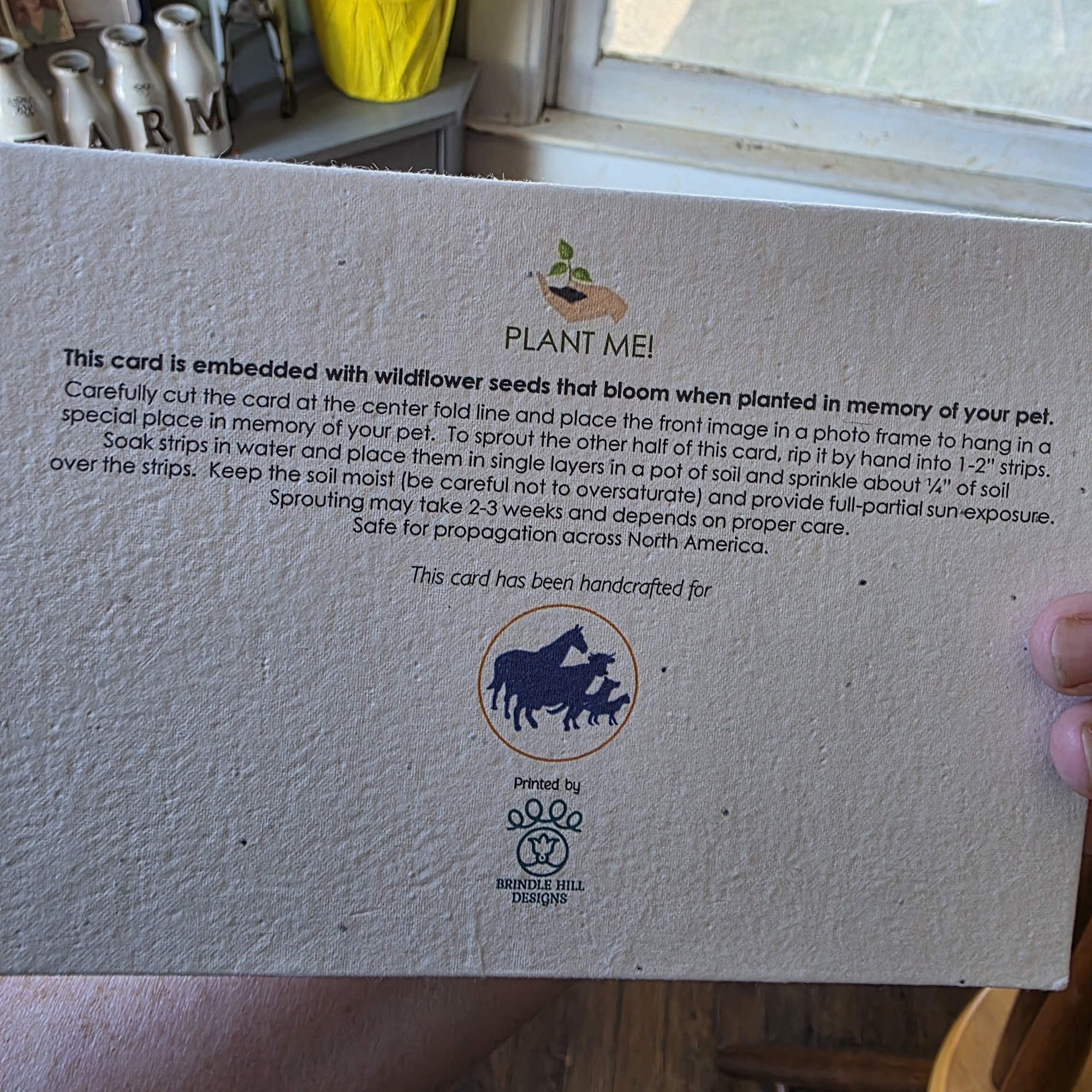 Barnesville Animal Clinic Barnesville