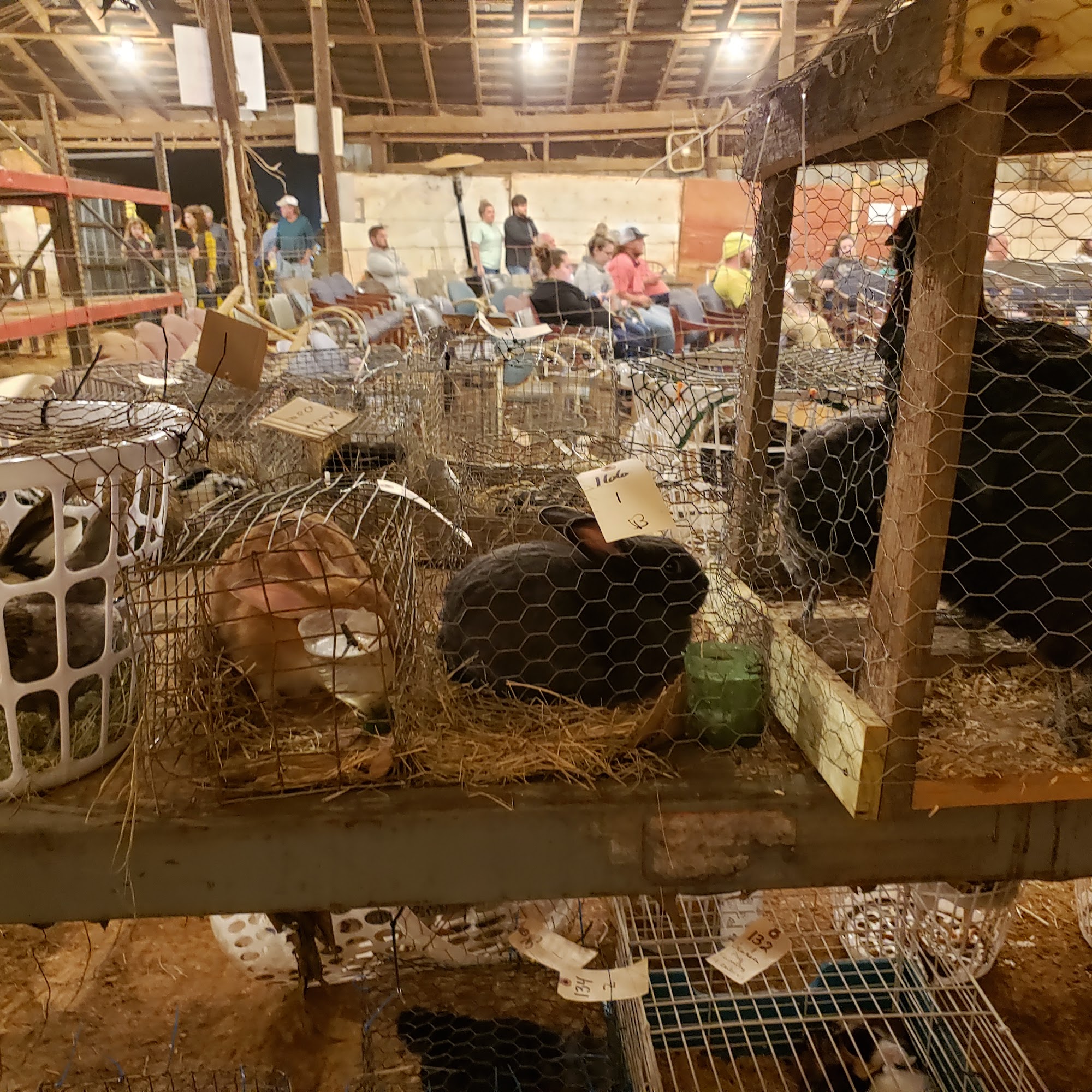 Buggy Town Livestock and Miscellaneous Auction Barnesville