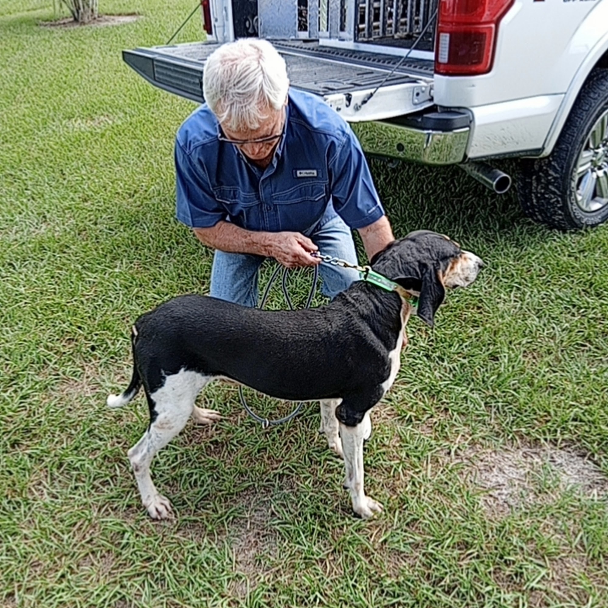 Bay Creek Kennels Boarding Baxley