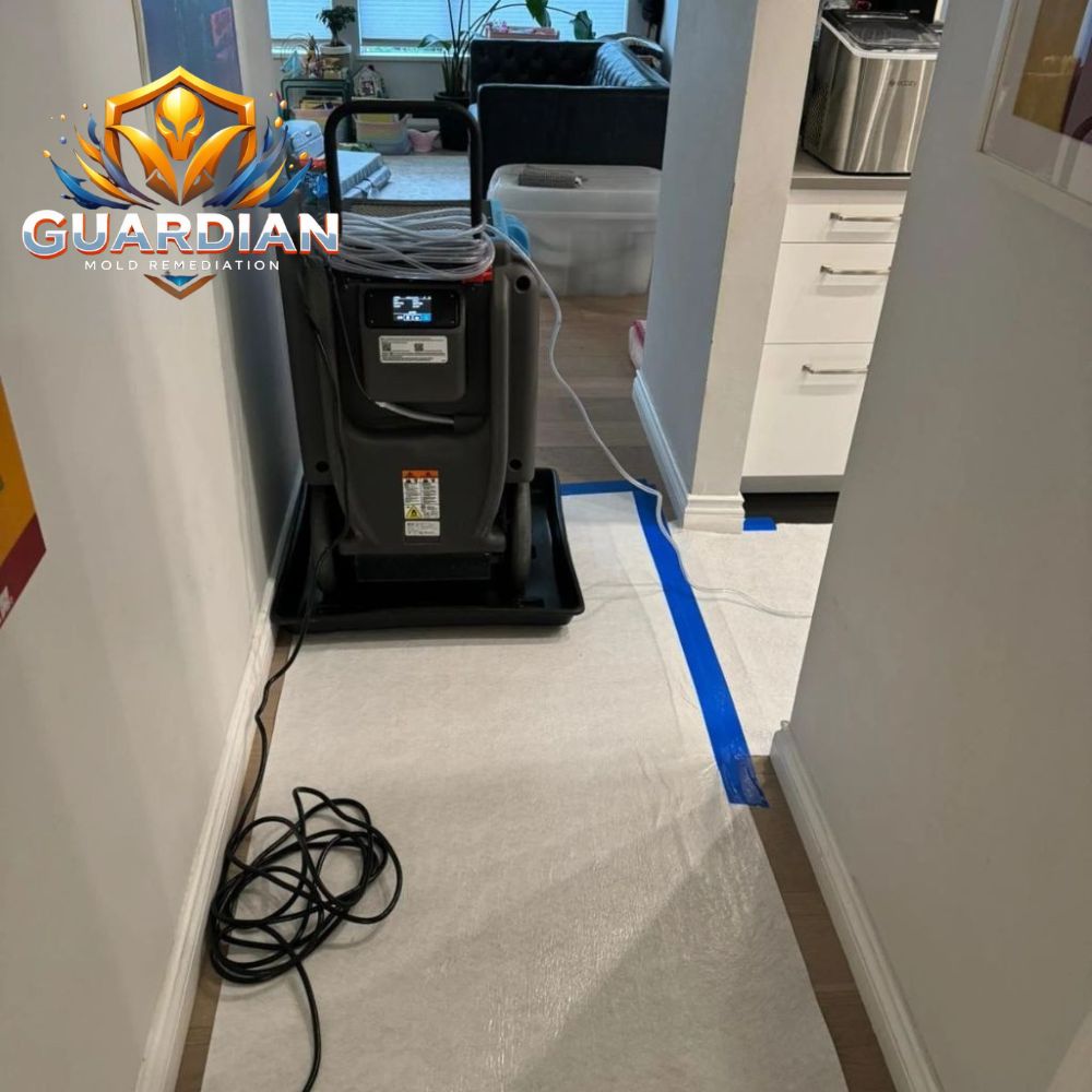 Winder Mold Removal Experts