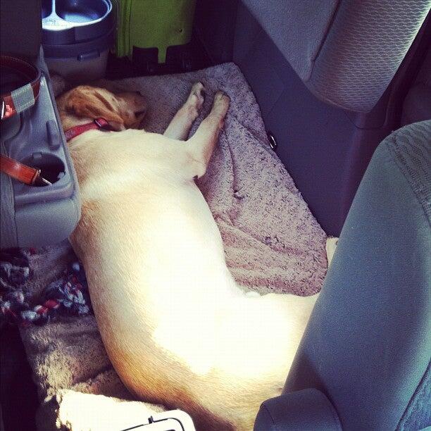 Photo credit: nextdoor