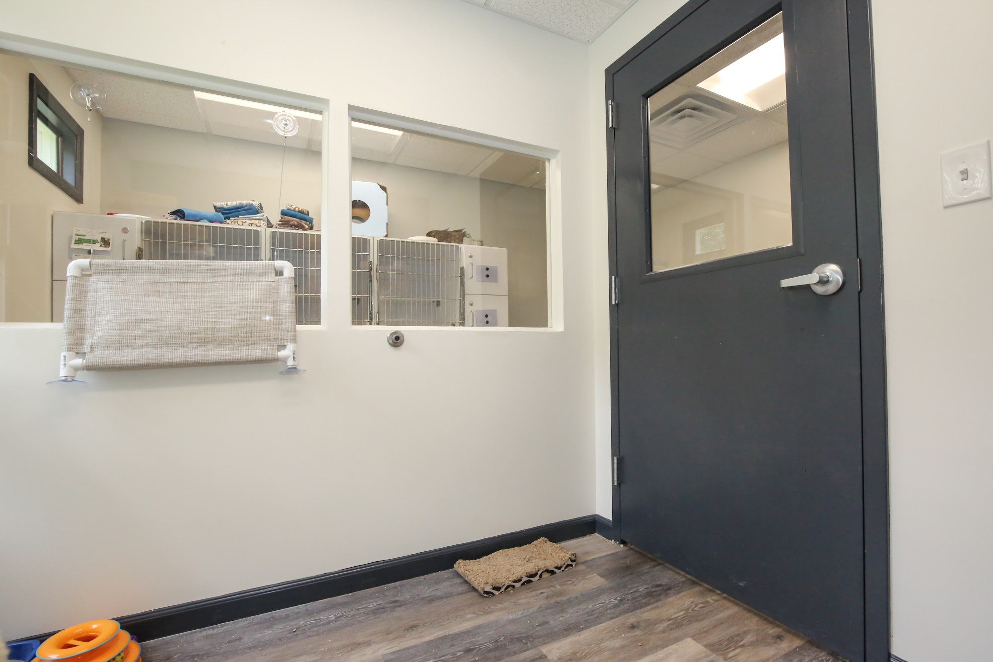 Nottely Oaks Animal Hospital Blairsville