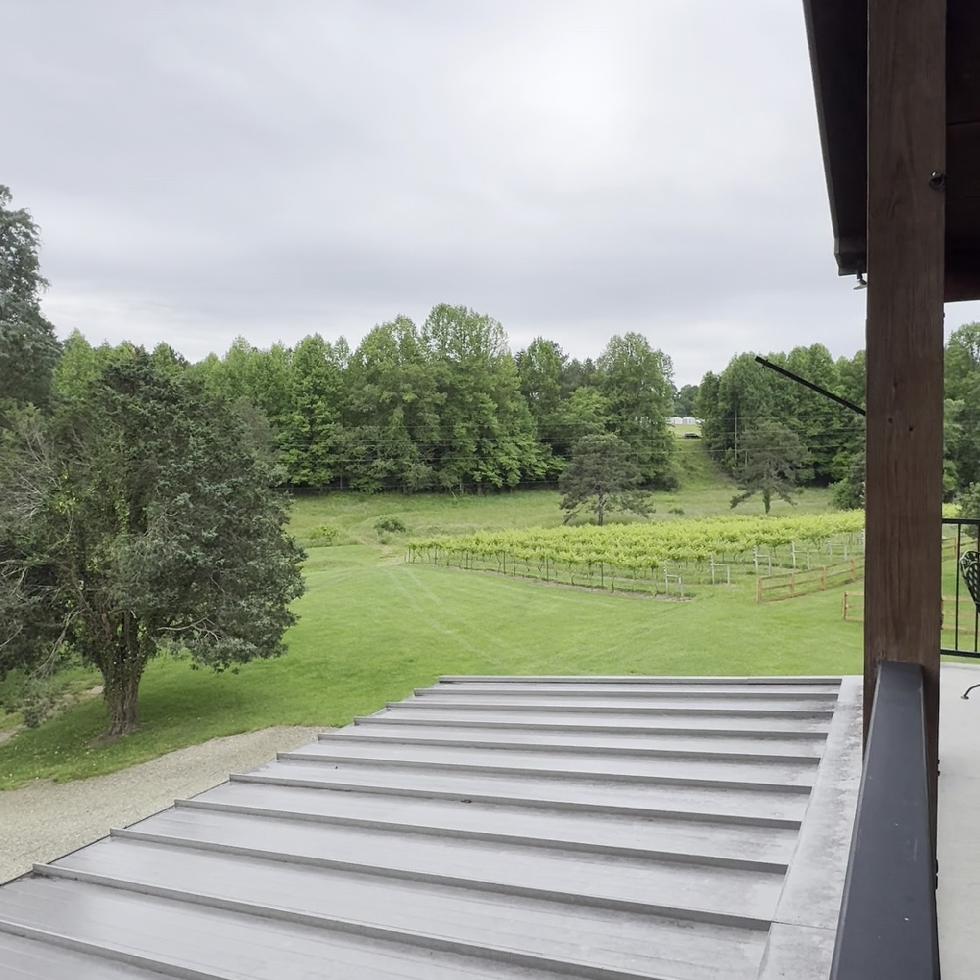 Odom Springs Vineyards Blairsville