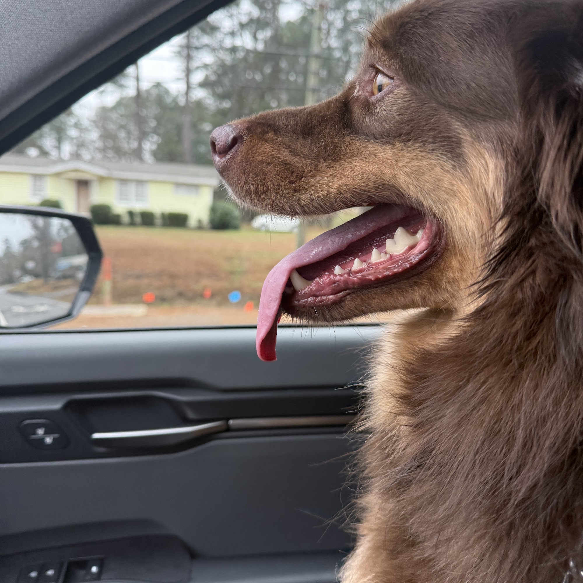 Pooler Veterinary Hospital Bloomingdale