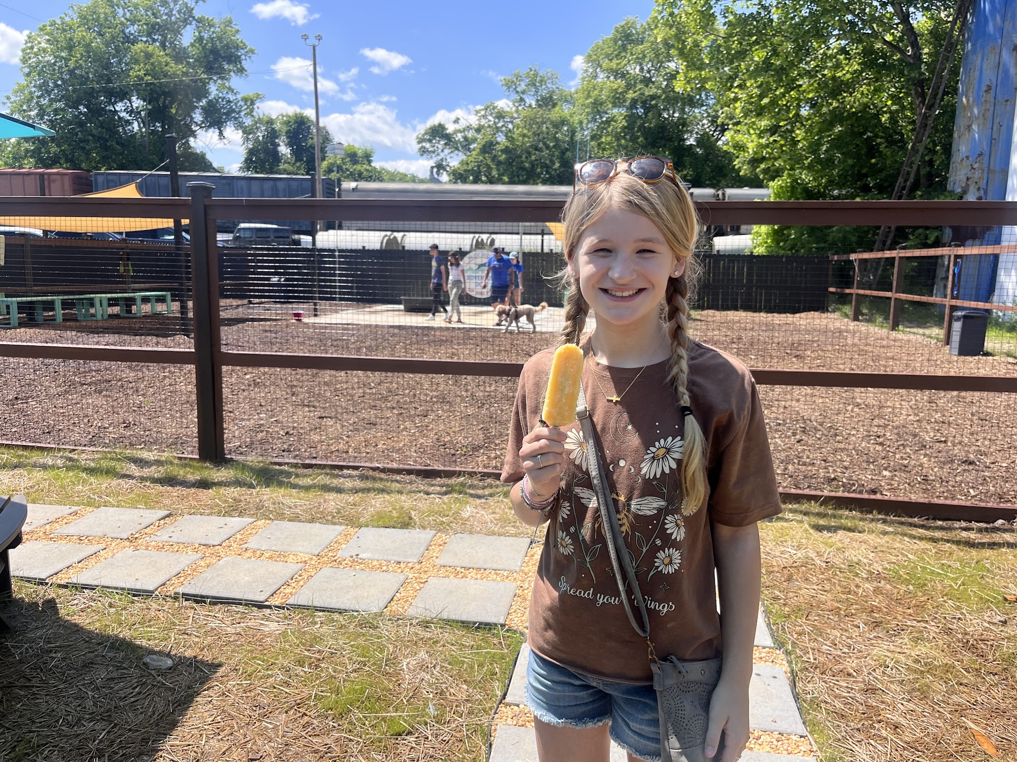 Blue Ridge Adventure Dog Blue Ridge