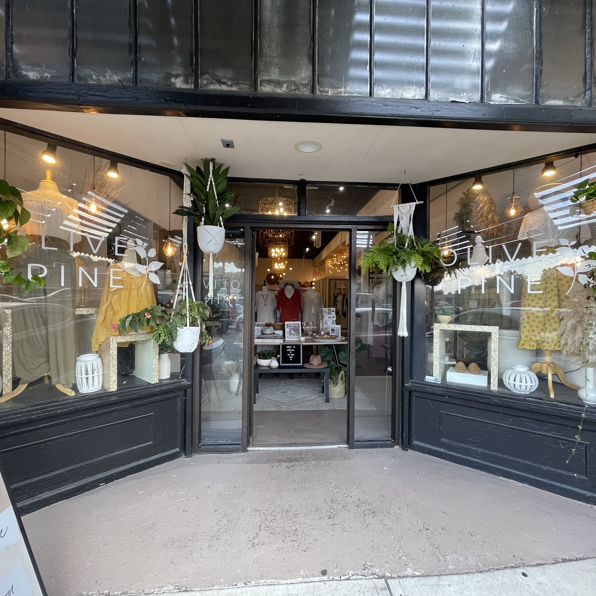 Olive + Pine Blue Ridge