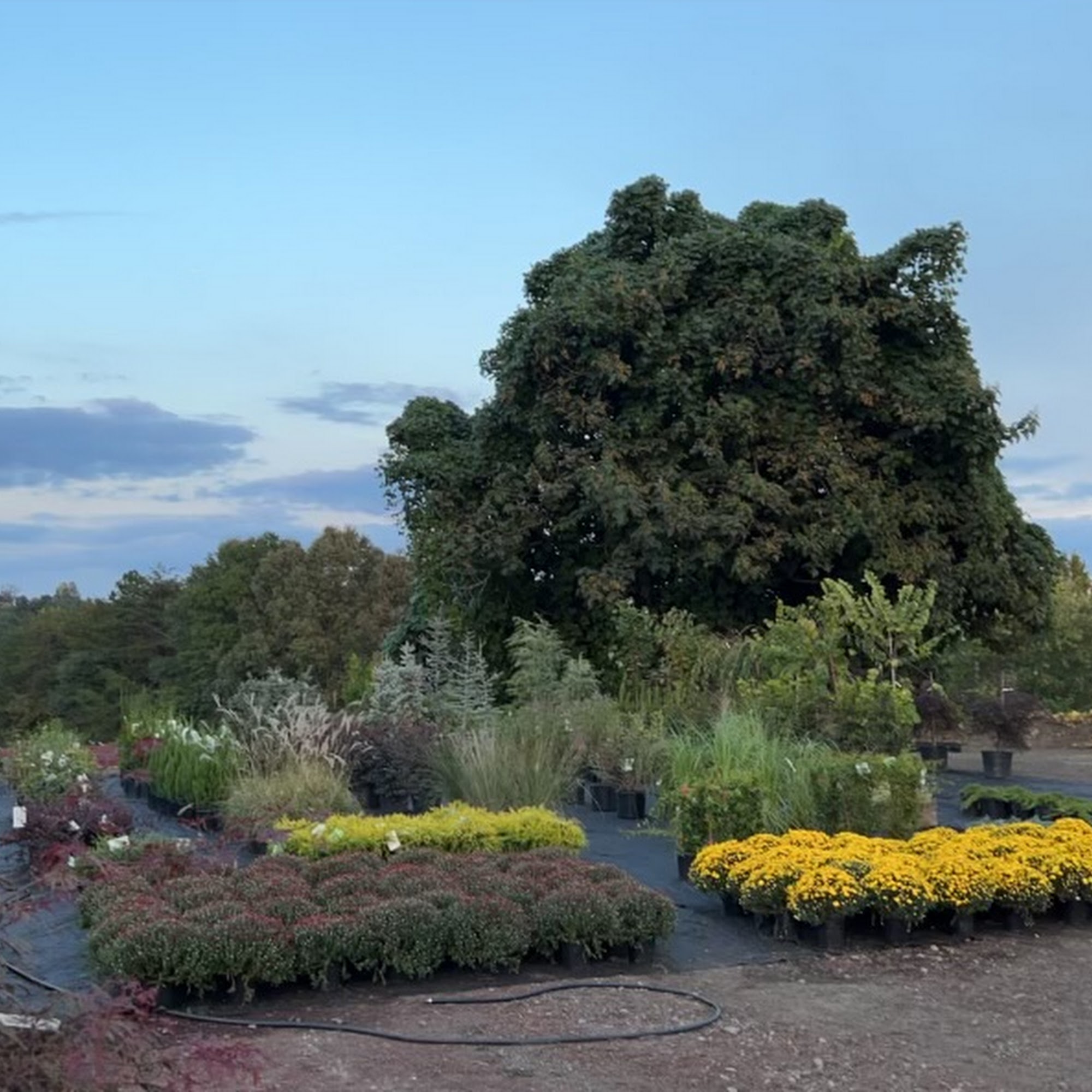 Stonehenge Landscape Supply