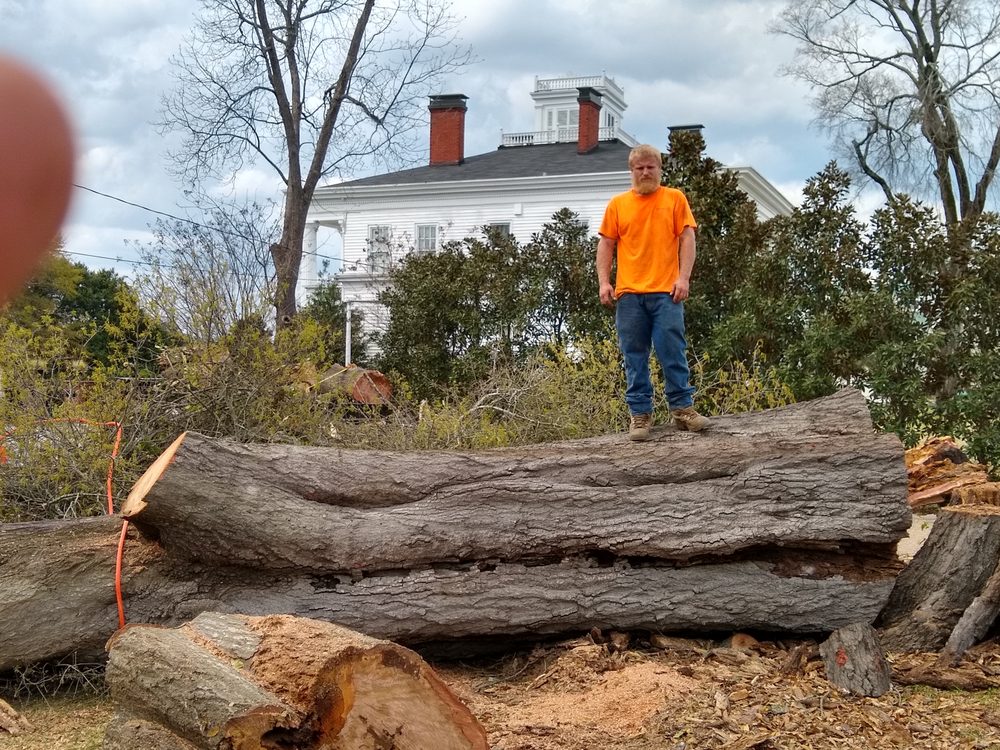 Arbor-Tek Tree Service