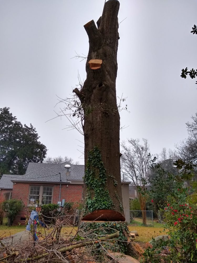 Arbor-Tek Tree Service