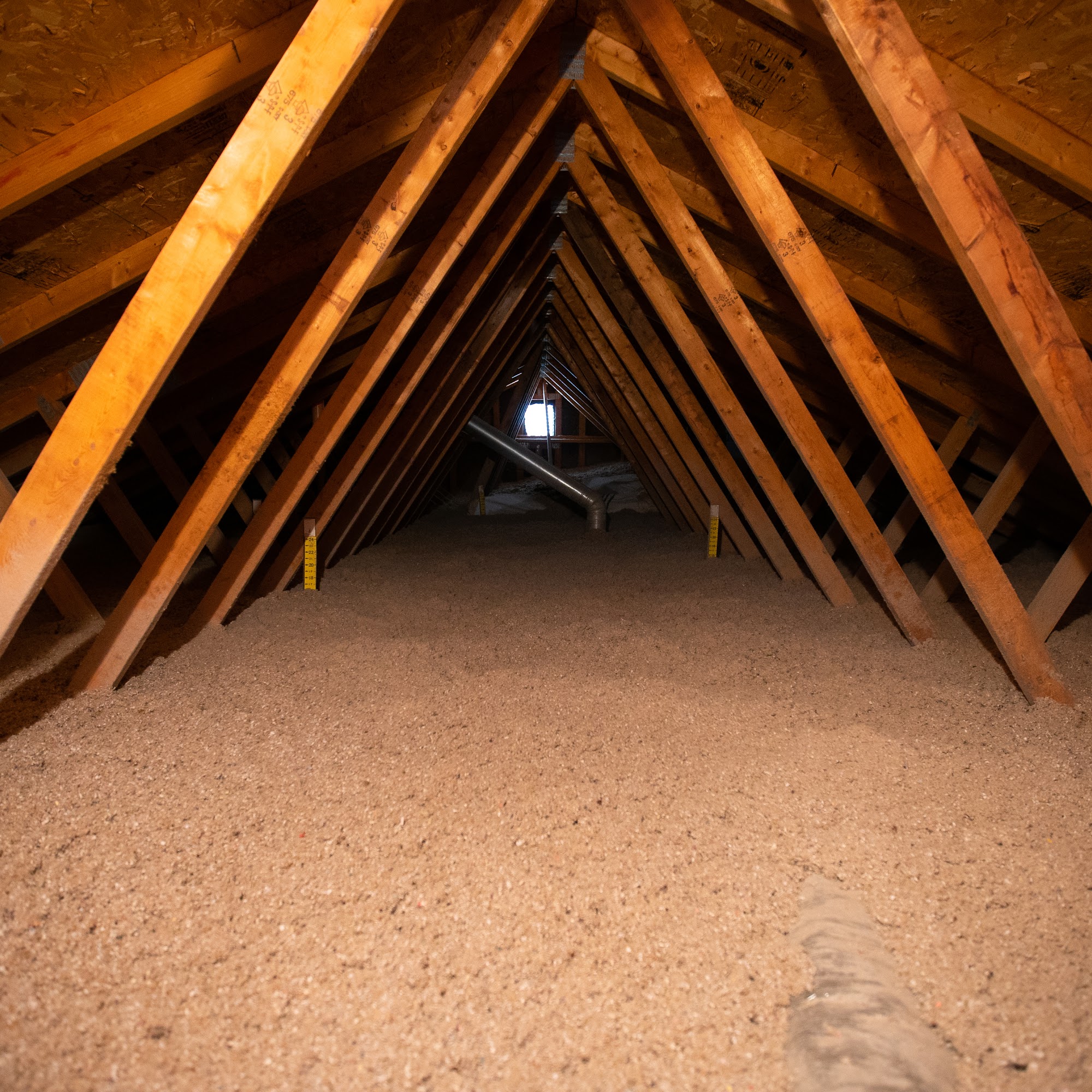 Loveday & Co 205 Depot St, Brooklet Georgia 30415