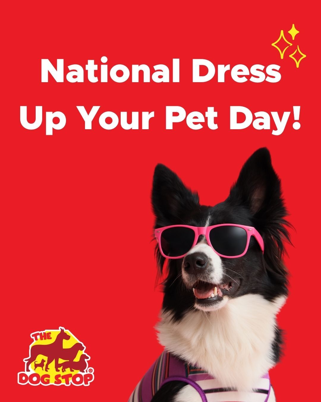 The Dog Stop - Brunswick, GA Brunswick