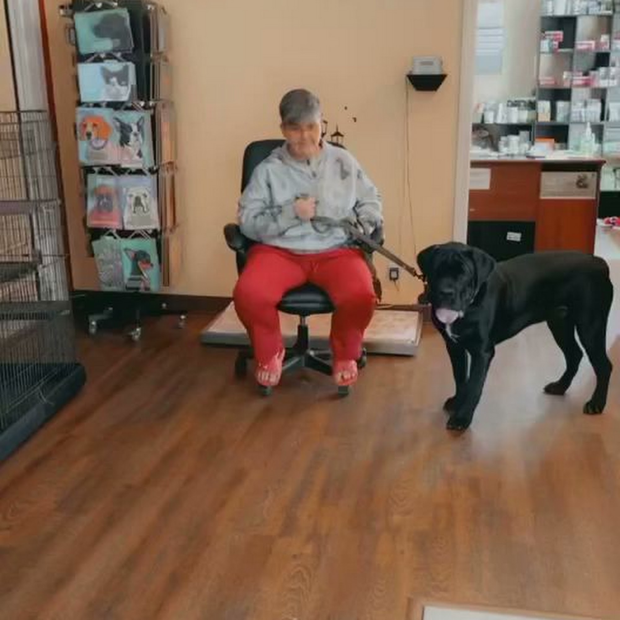 Pet Doctor Brunswick