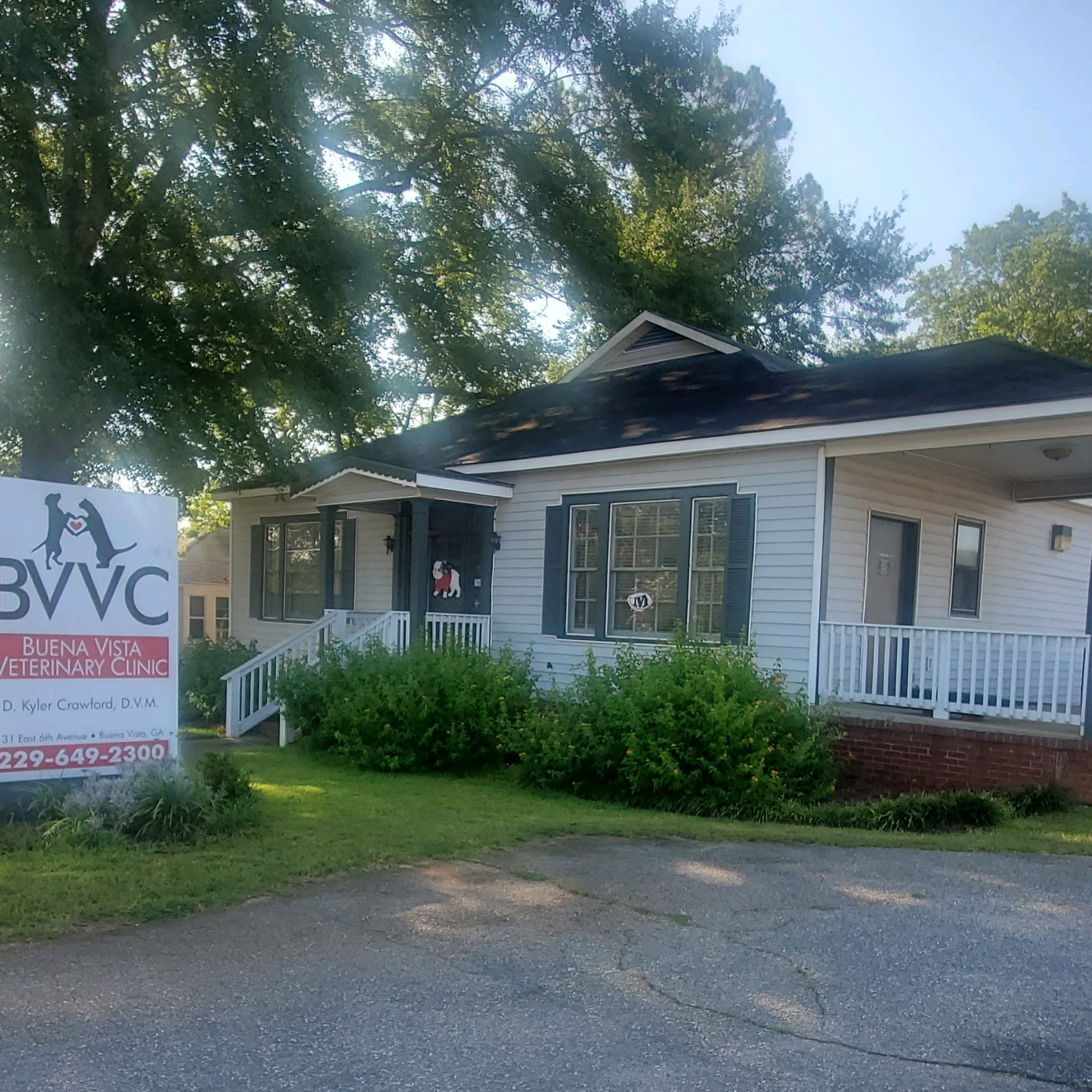 Buena Vista Veterinary Clinic Buena Vista