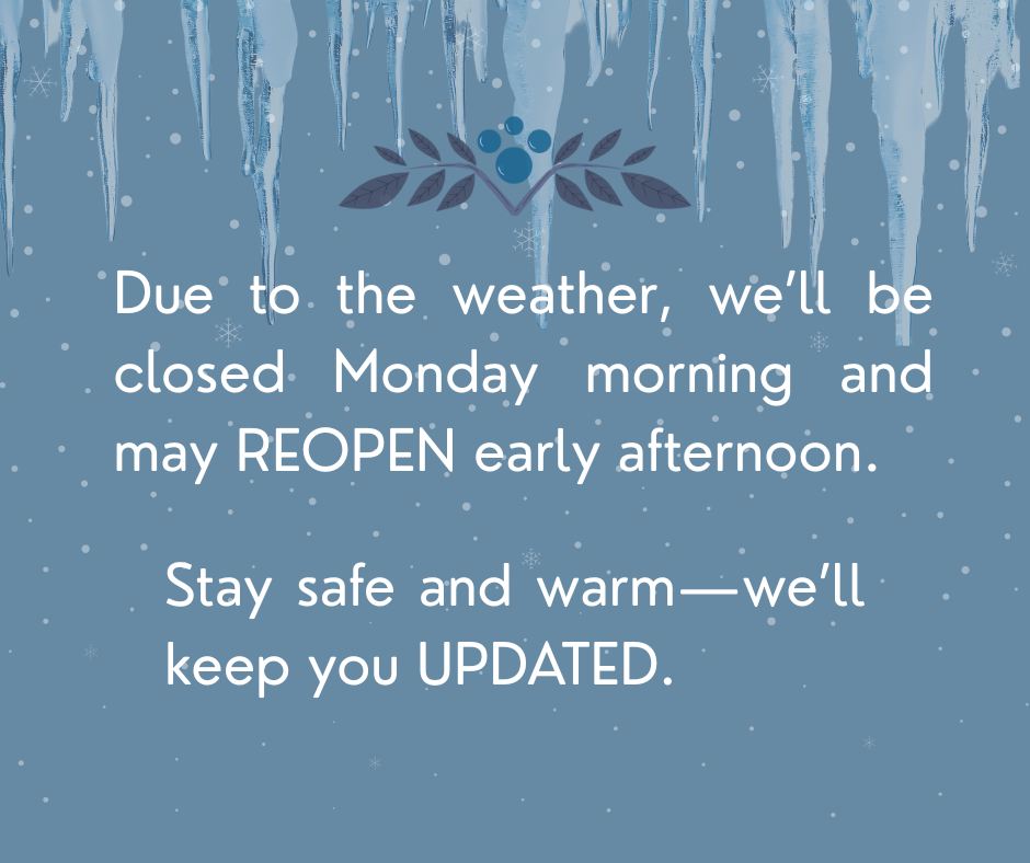 Tchin Tchin Coffee Buford