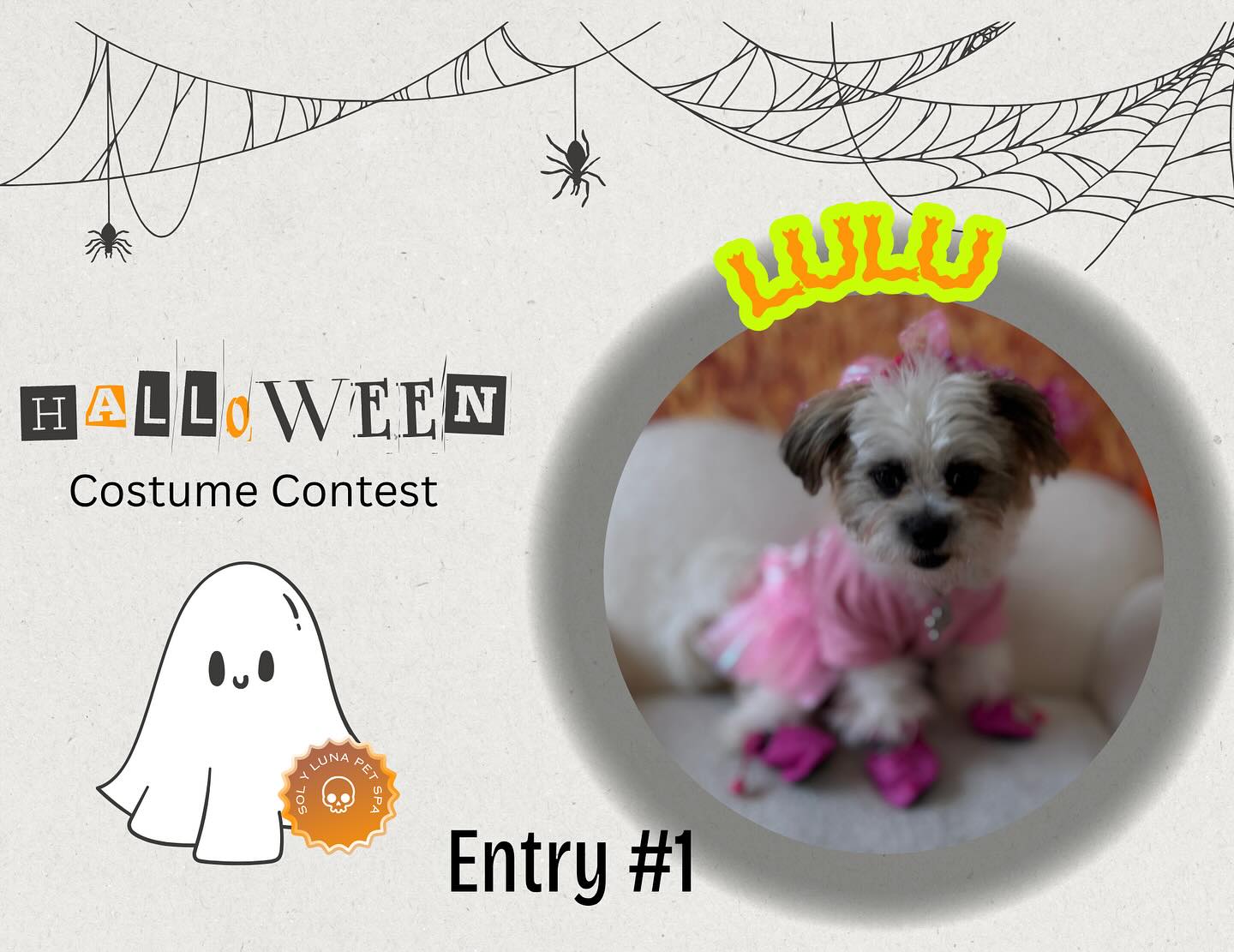 SOL Y LUNA PET SPA GROOMING AND BOARDING Buford