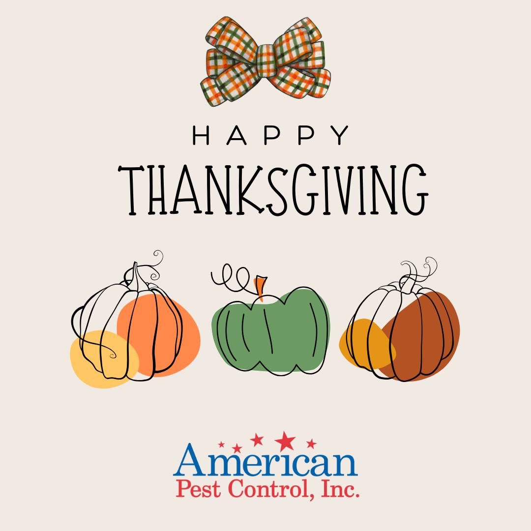 American Pest Control, Inc.